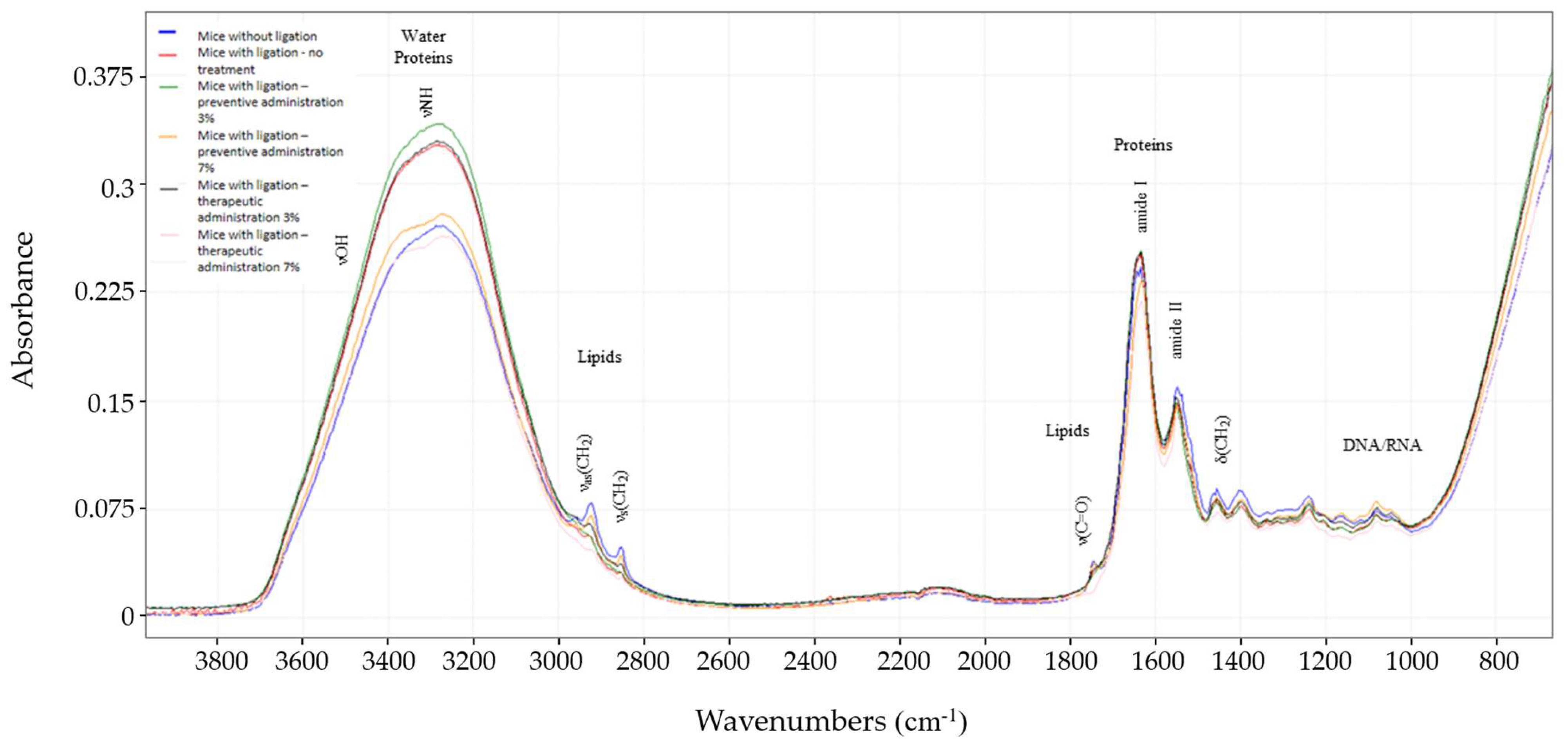 Biomedicines 13 00983 g006
