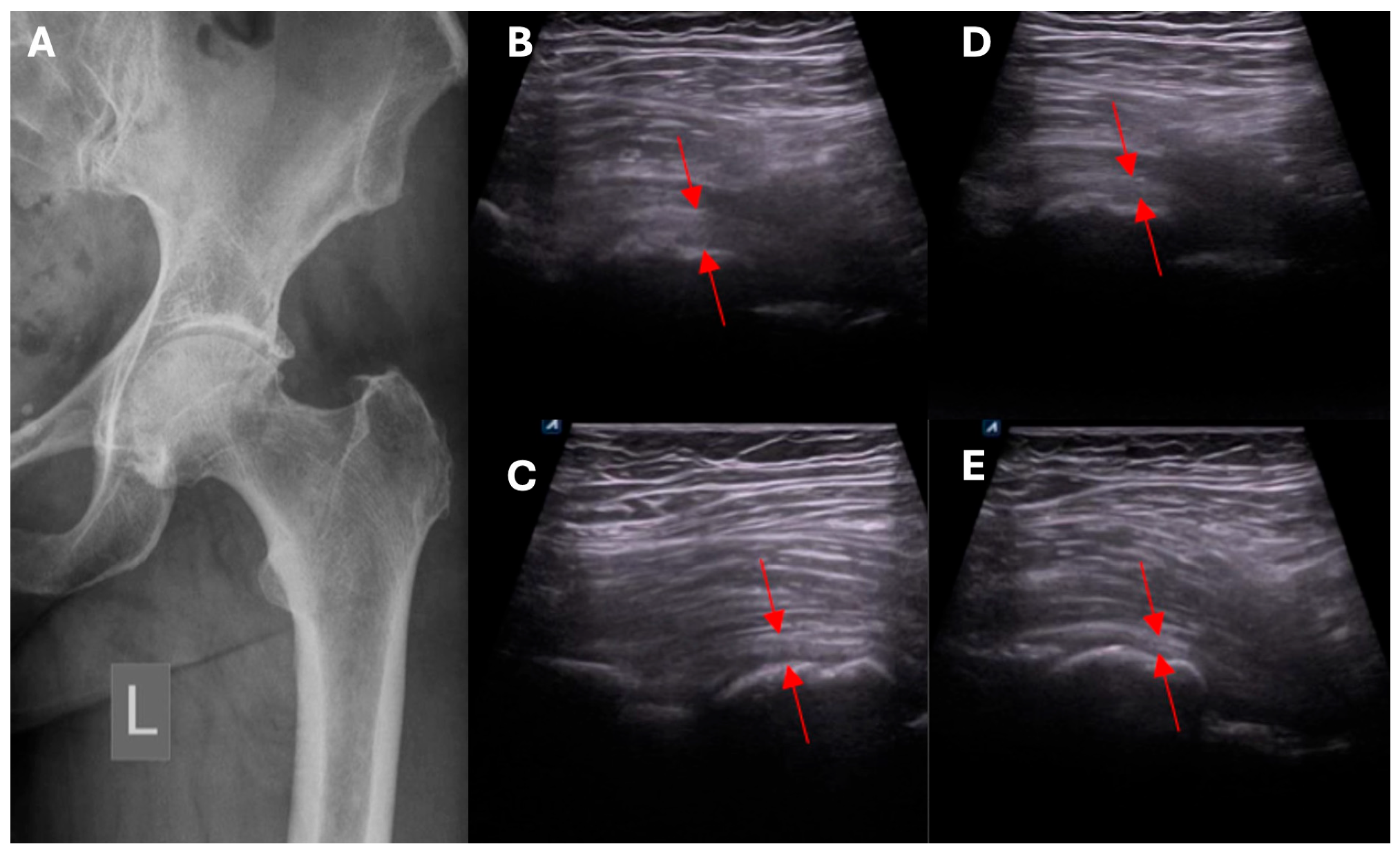 Biomedicines 13 00987 g002