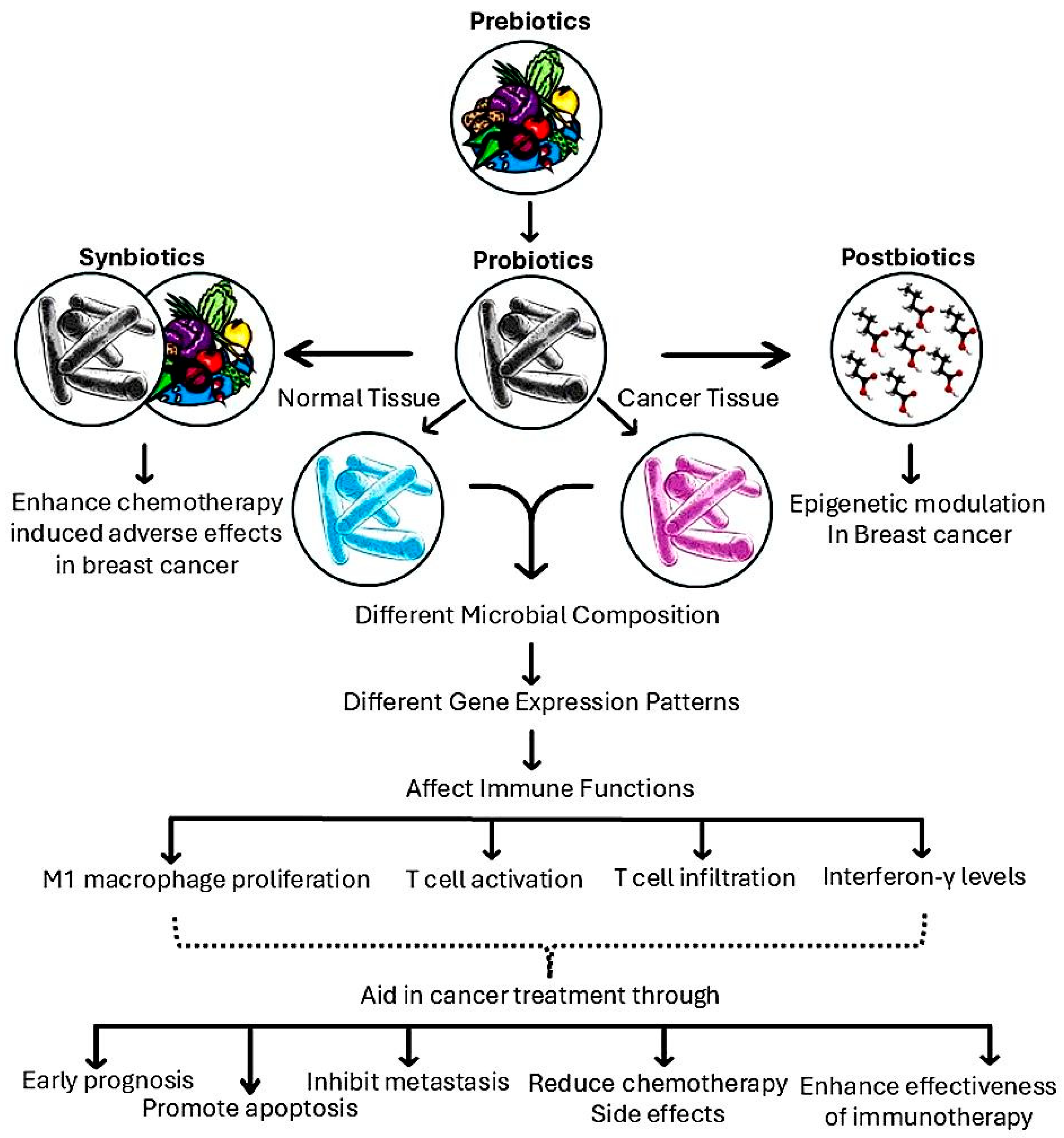 Biomedicines 13 00990 g004 Biomedicines 13 00990 g004