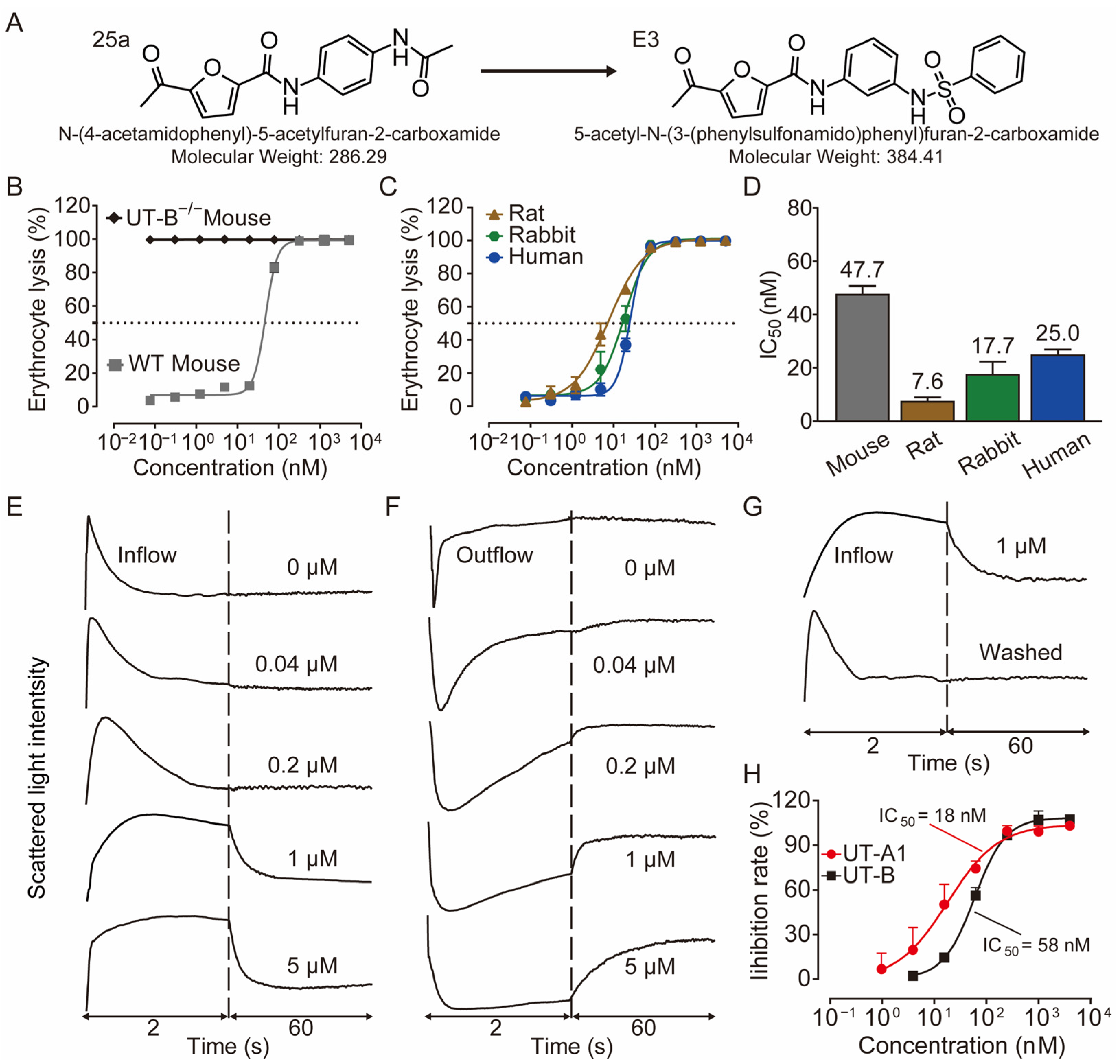 Biomedicines 13 00992 g001