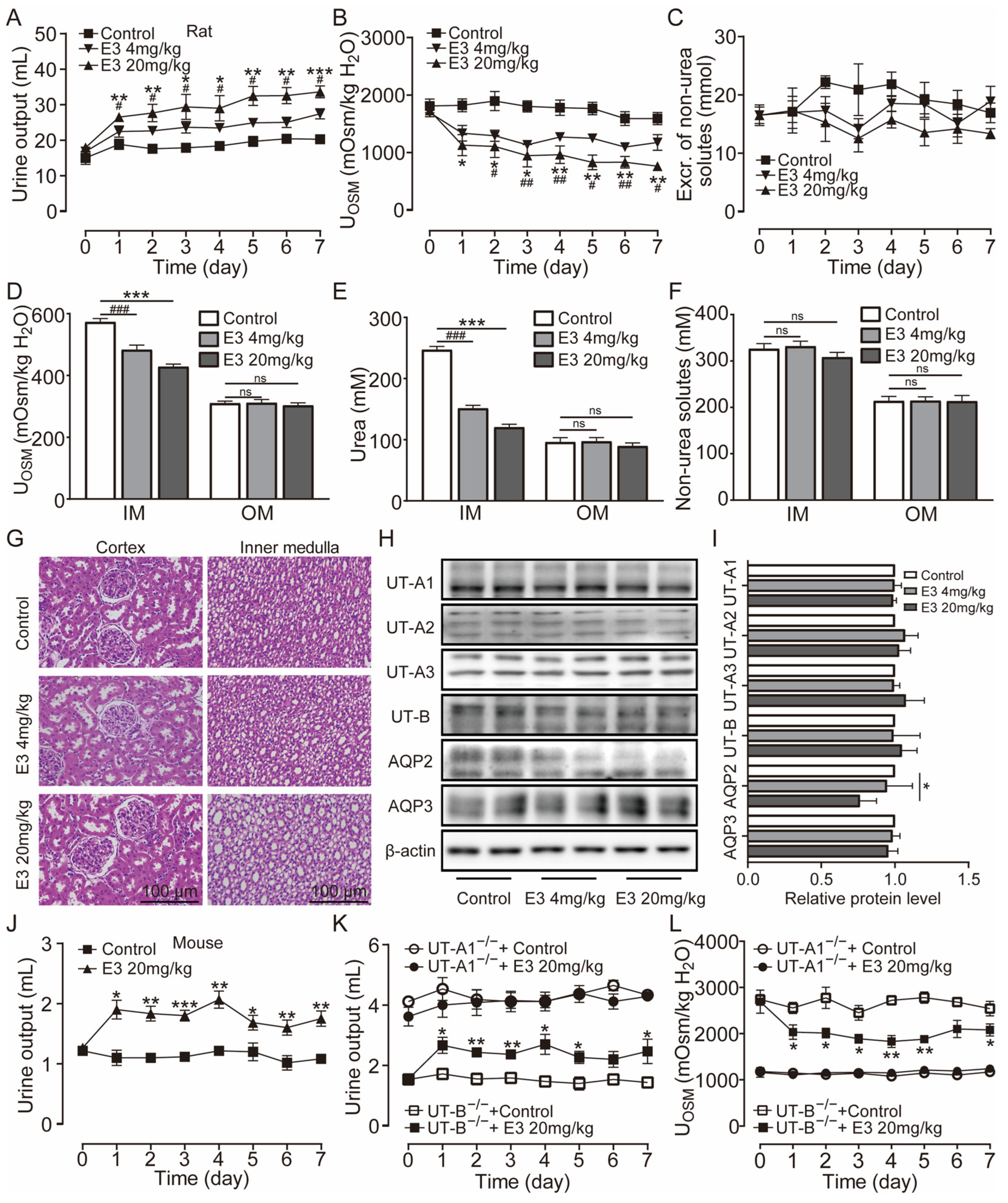 Biomedicines 13 00992 g003