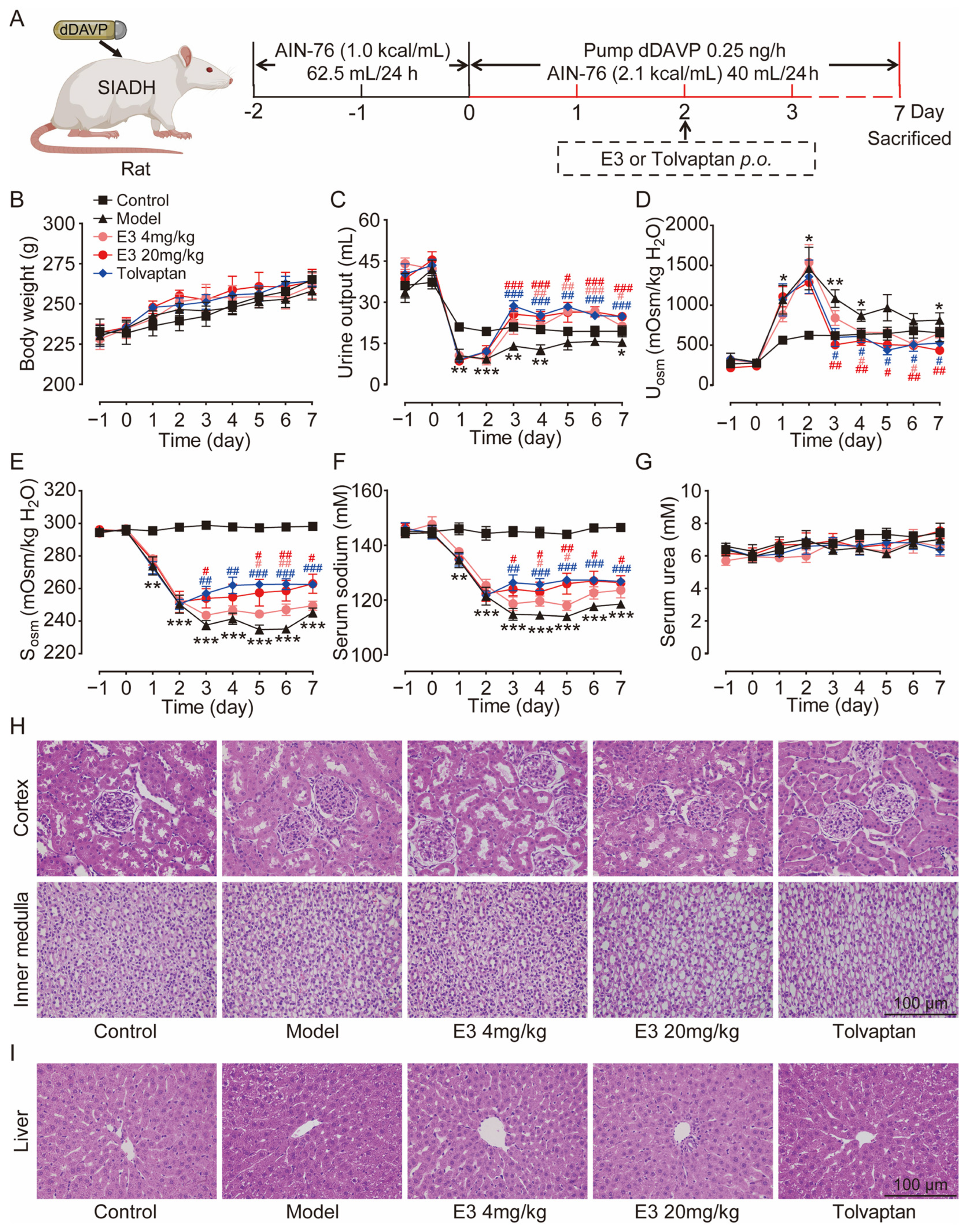 Biomedicines 13 00992 g004