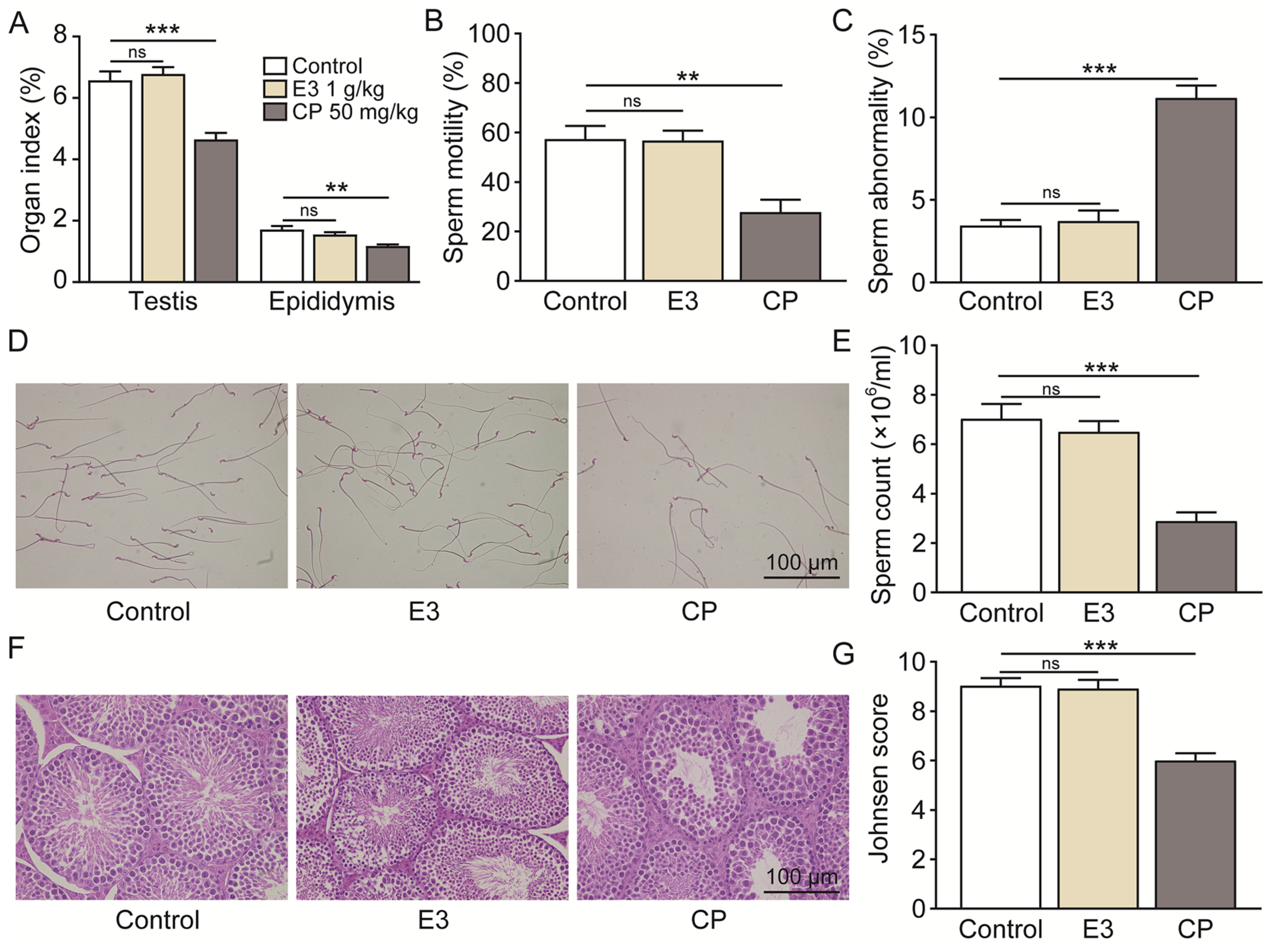 Biomedicines 13 00992 g007
