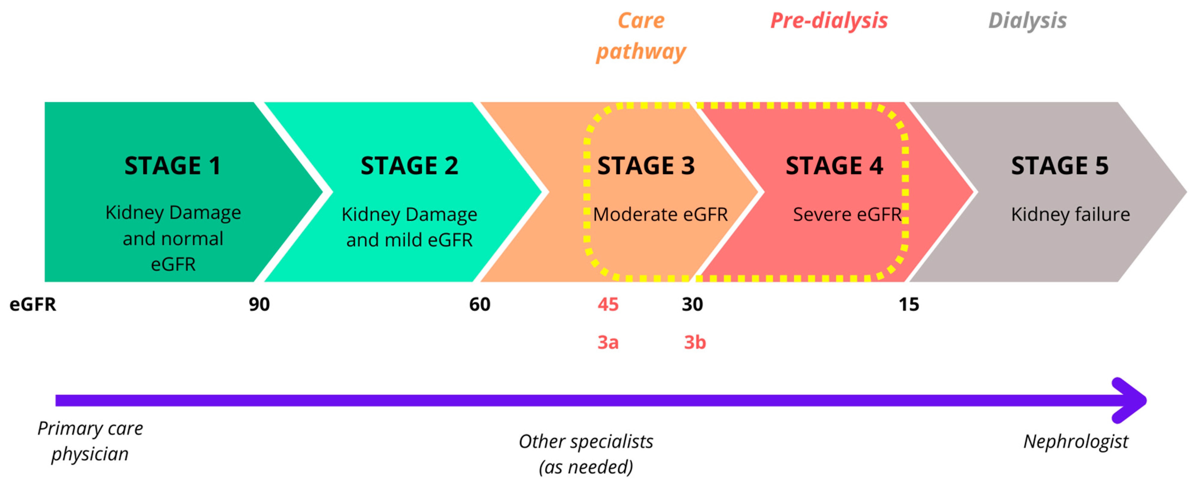 Biomedicines 13 00994 g001