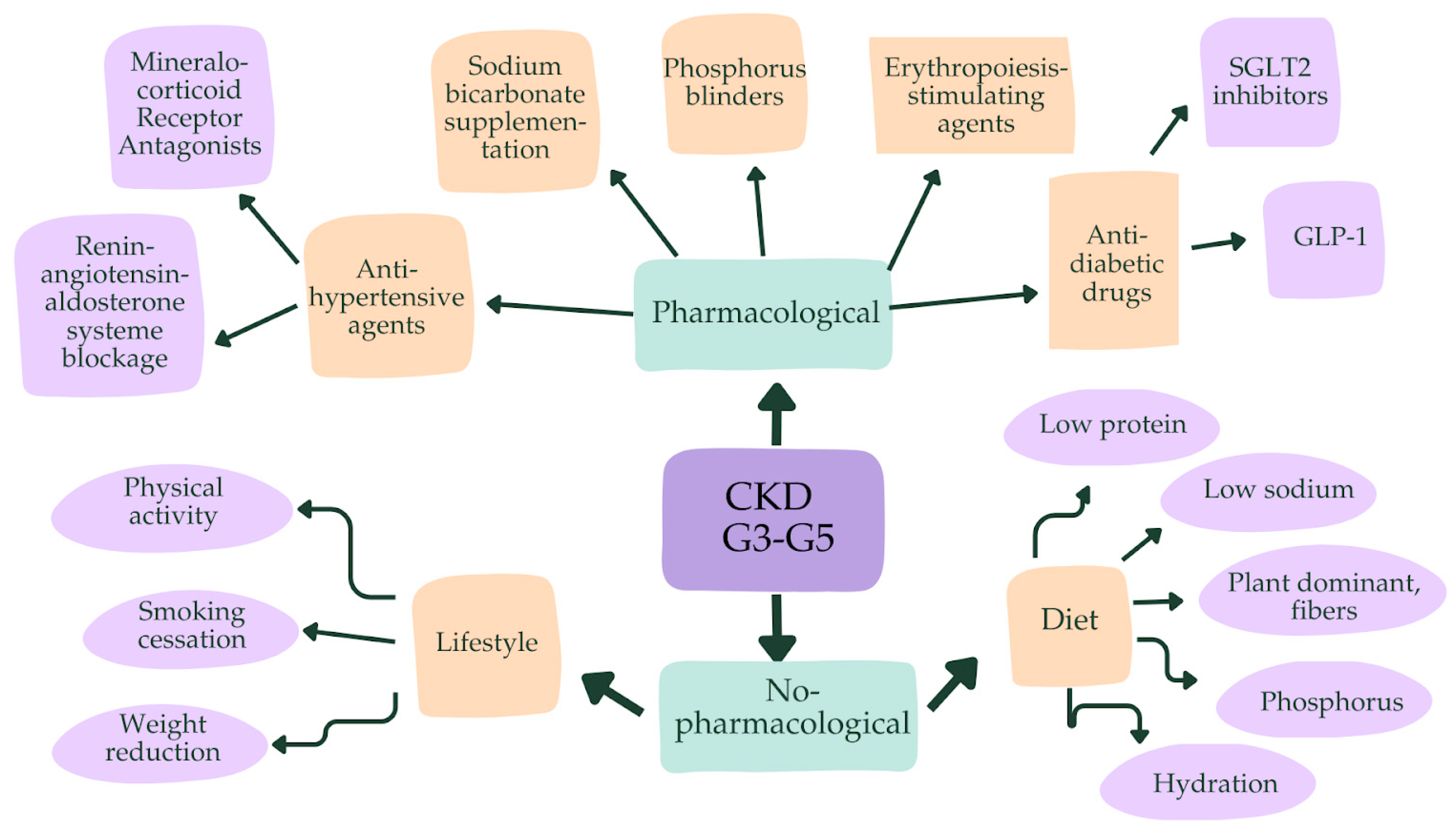 Biomedicines 13 00994 g002