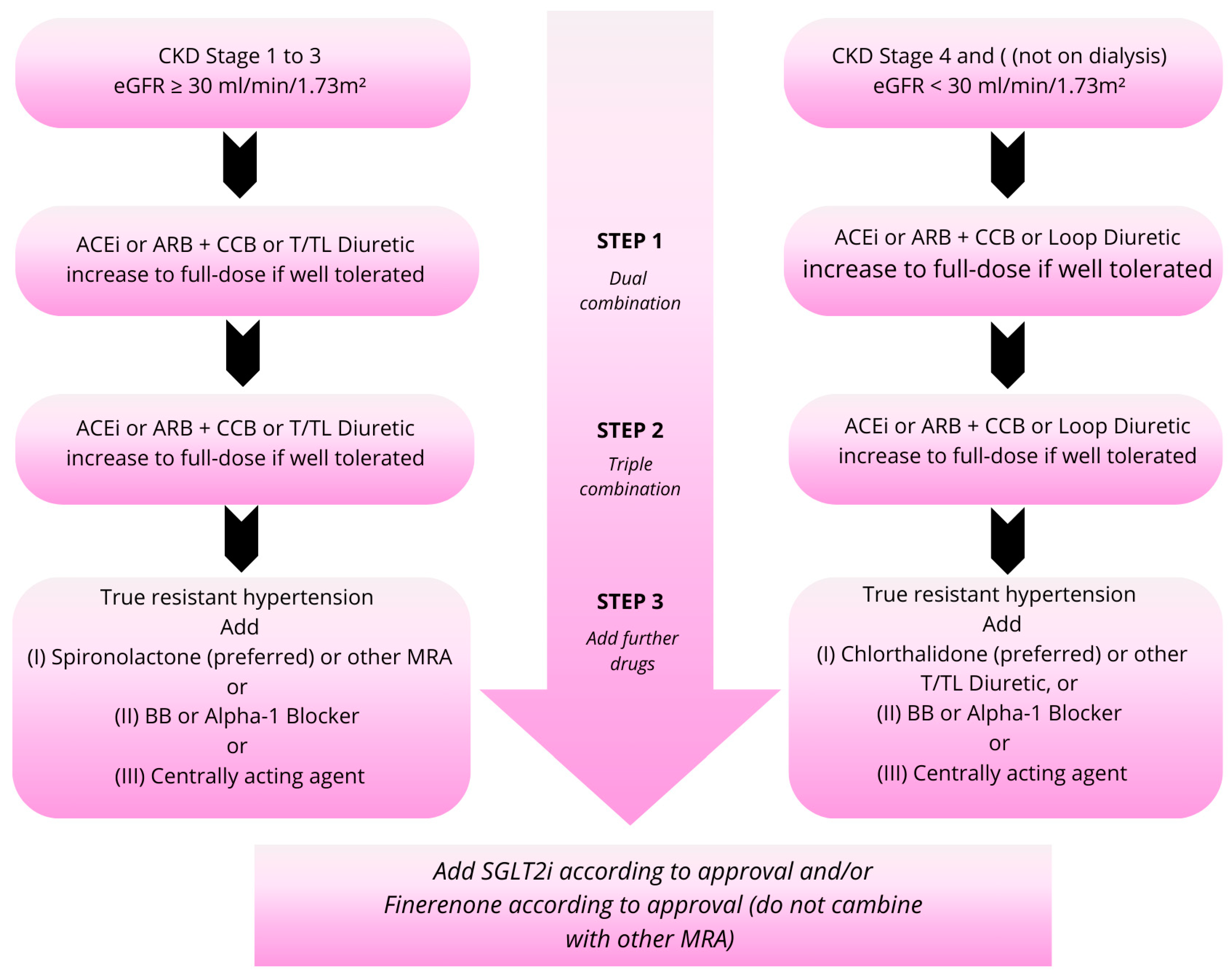 Biomedicines 13 00994 g003