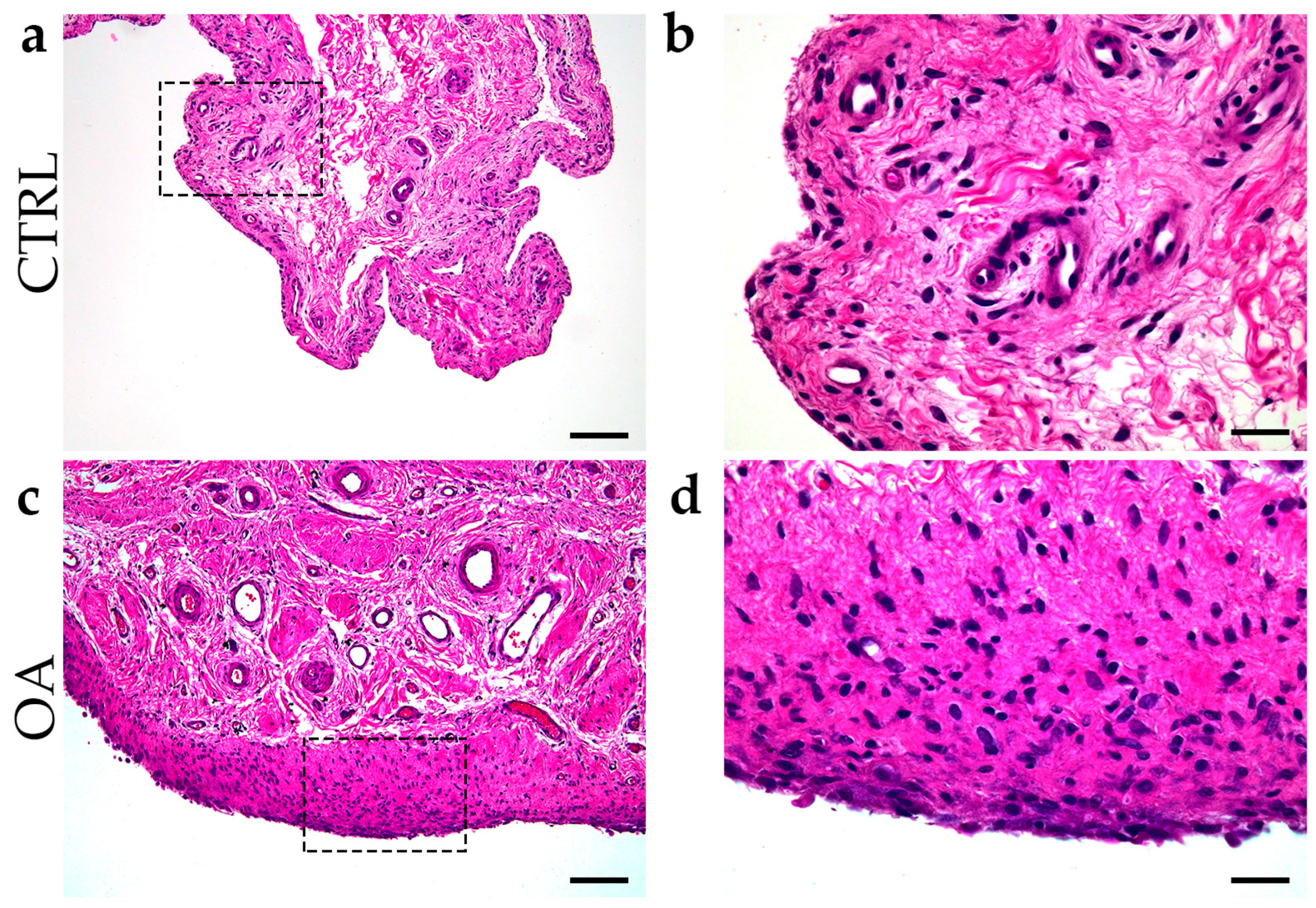 Biomedicines 13 00995 g001