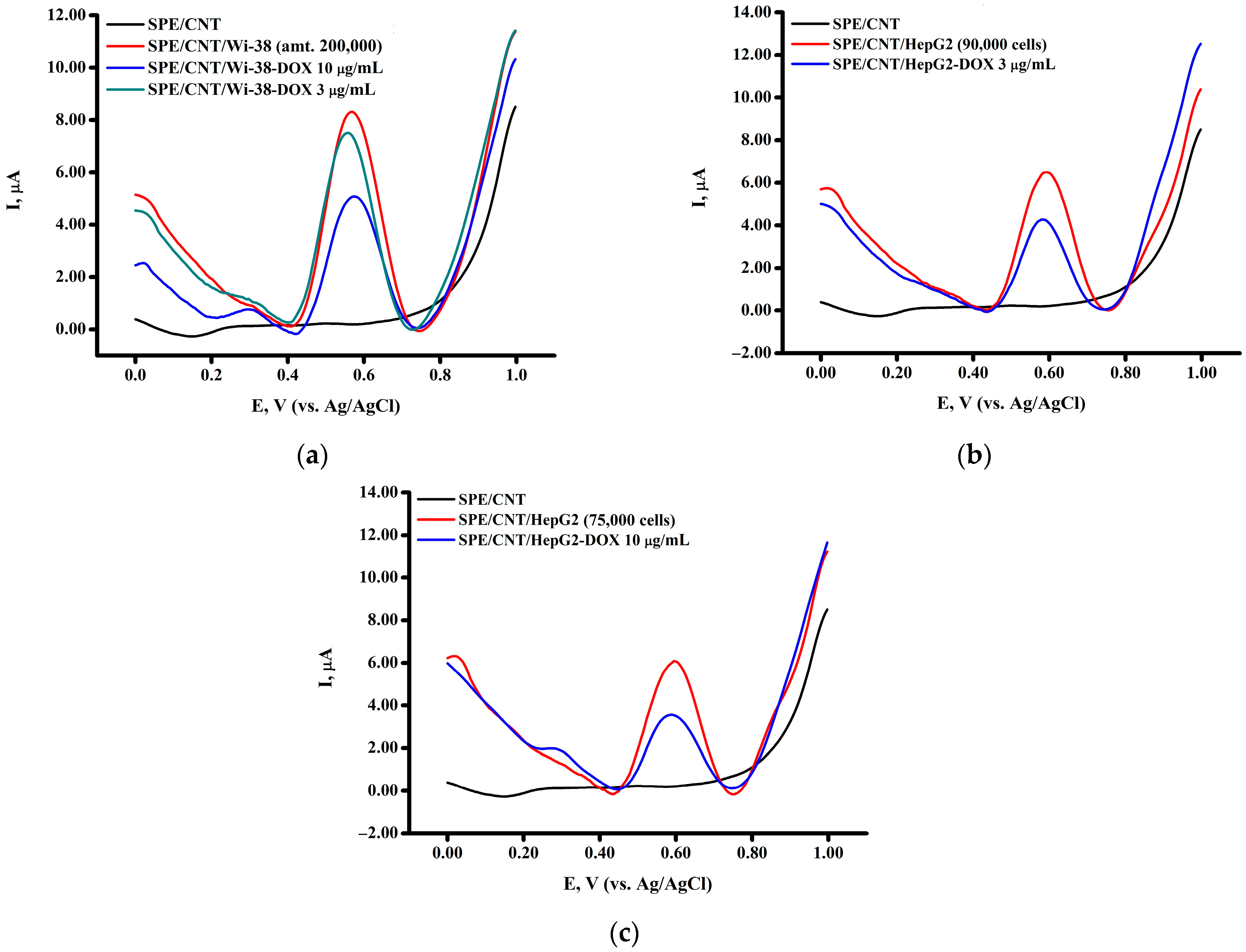 Biomedicines 13 00996 g004