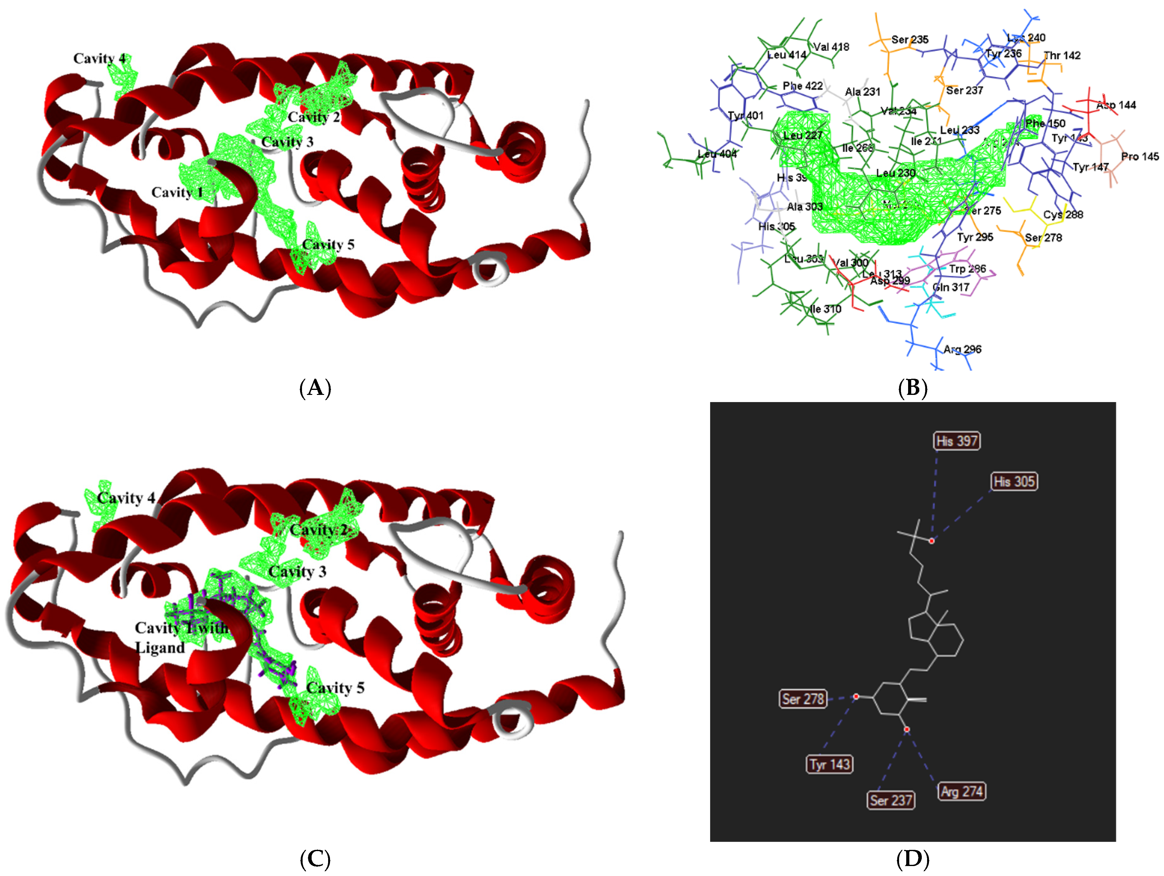 Biomedicines 13 01002 g002