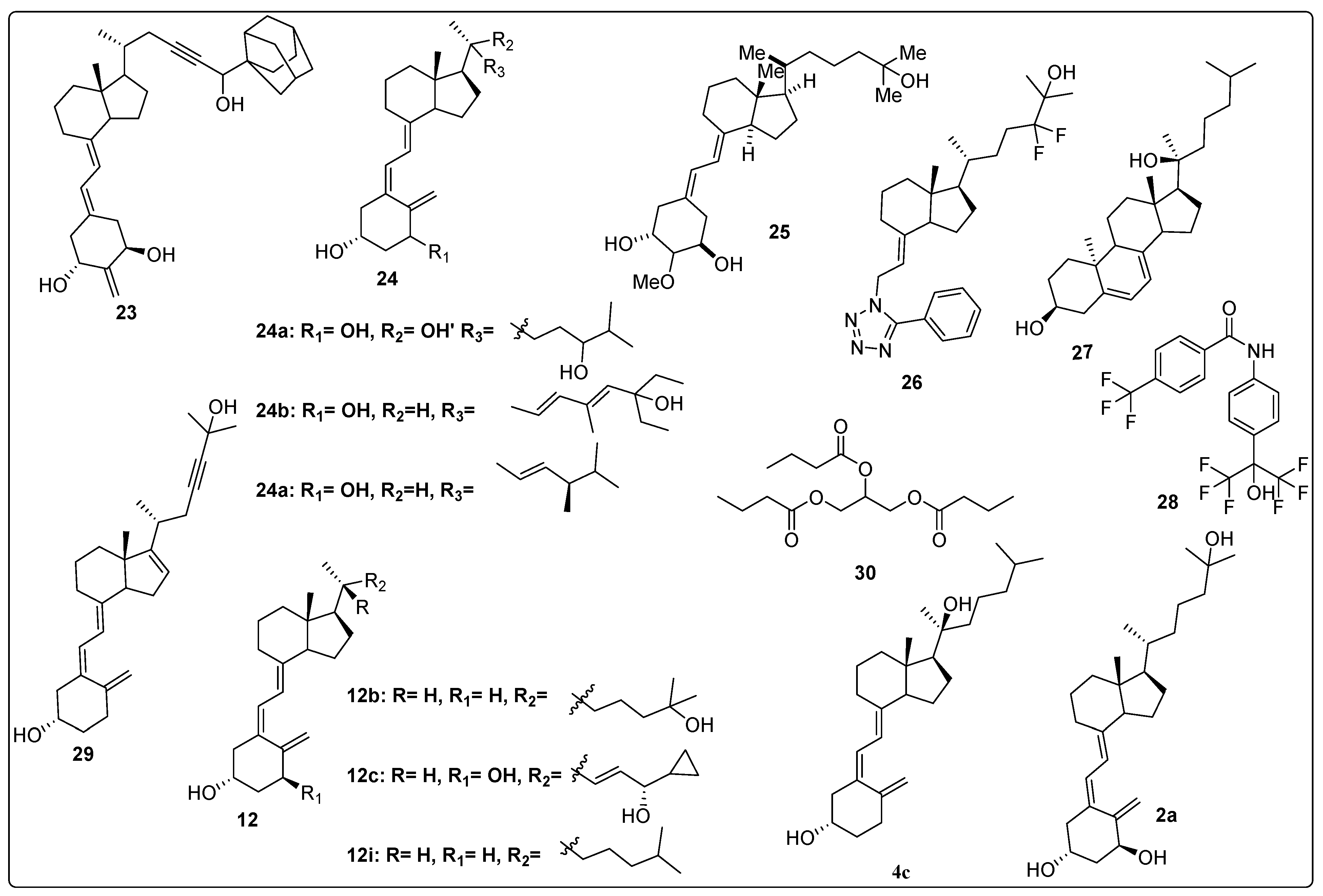 Biomedicines 13 01002 g007