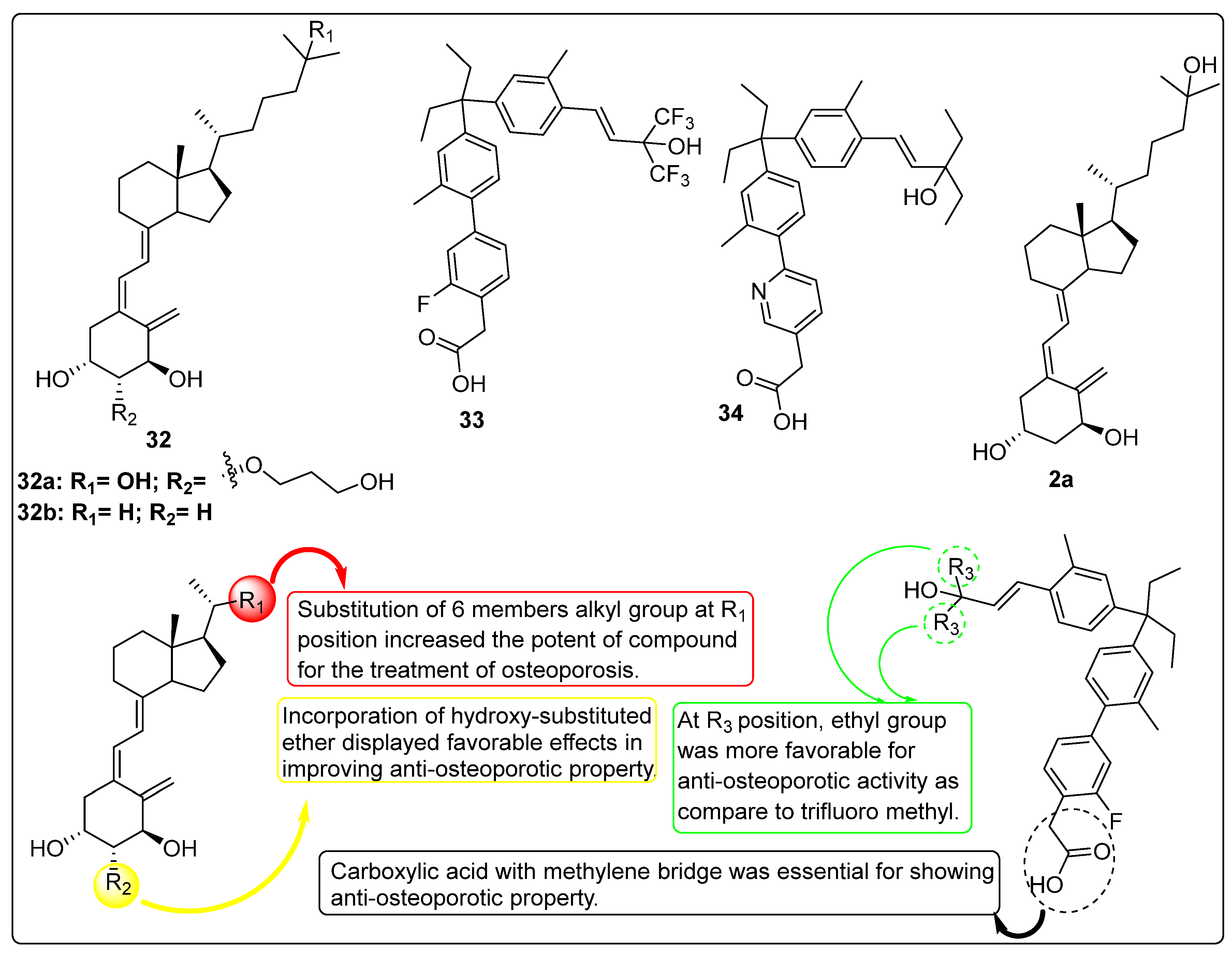 Biomedicines 13 01002 g008