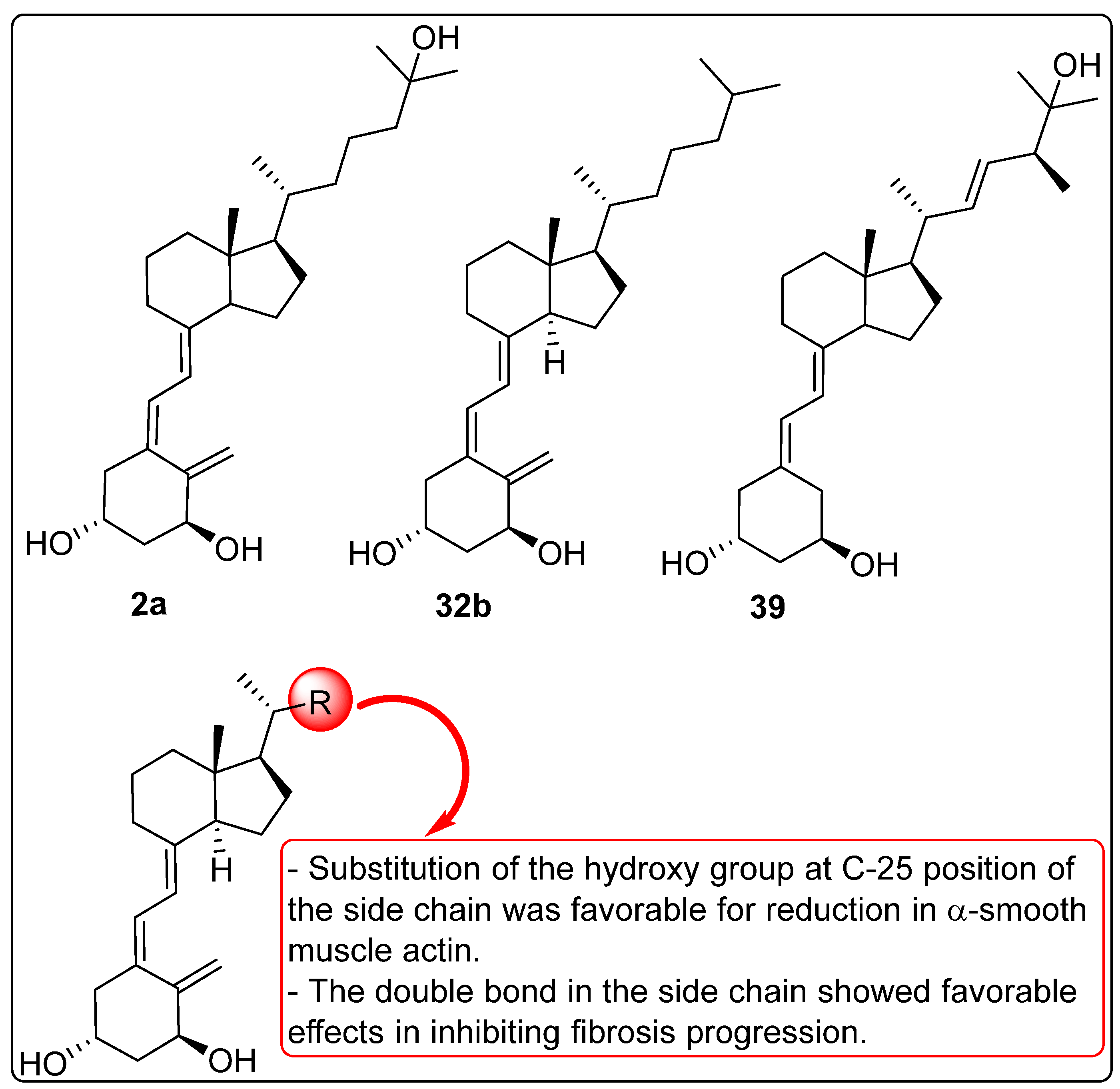Biomedicines 13 01002 g011