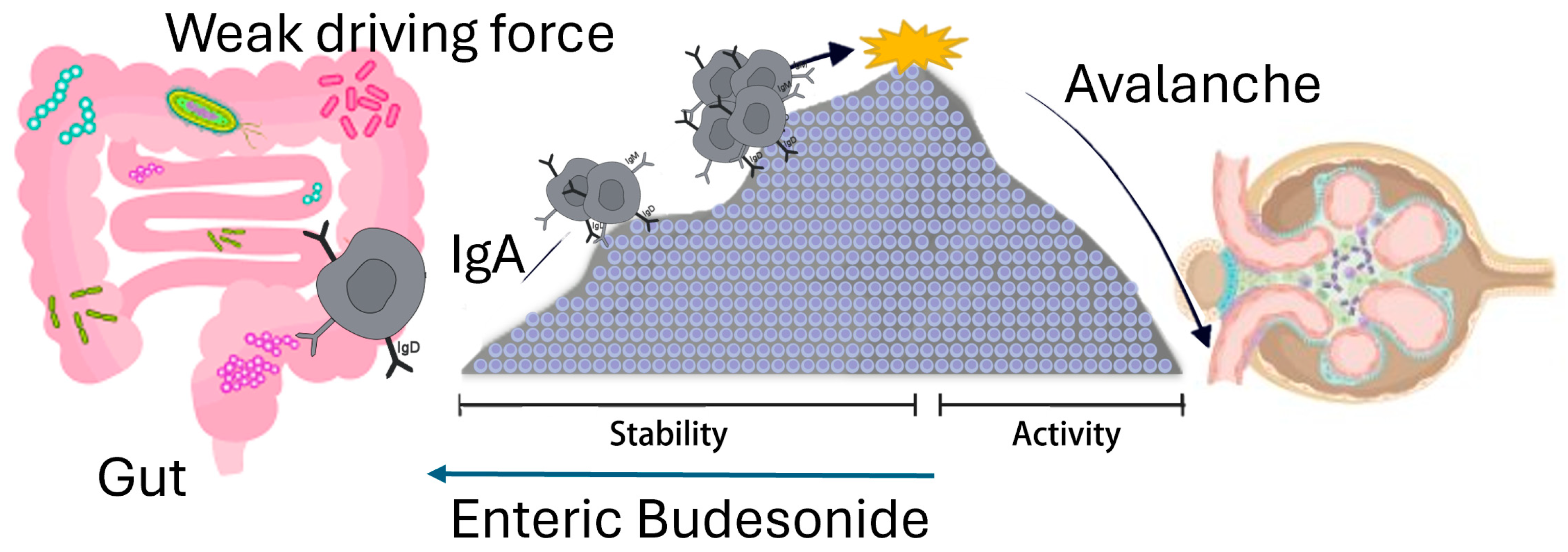 Biomedicines 13 01003 g004