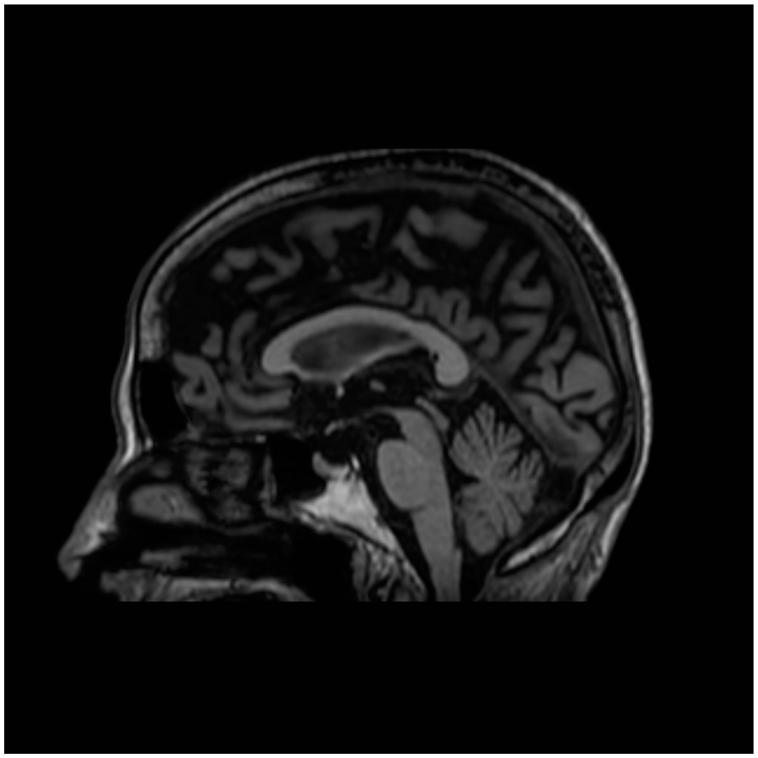 Biomedicines 13 01009 g001