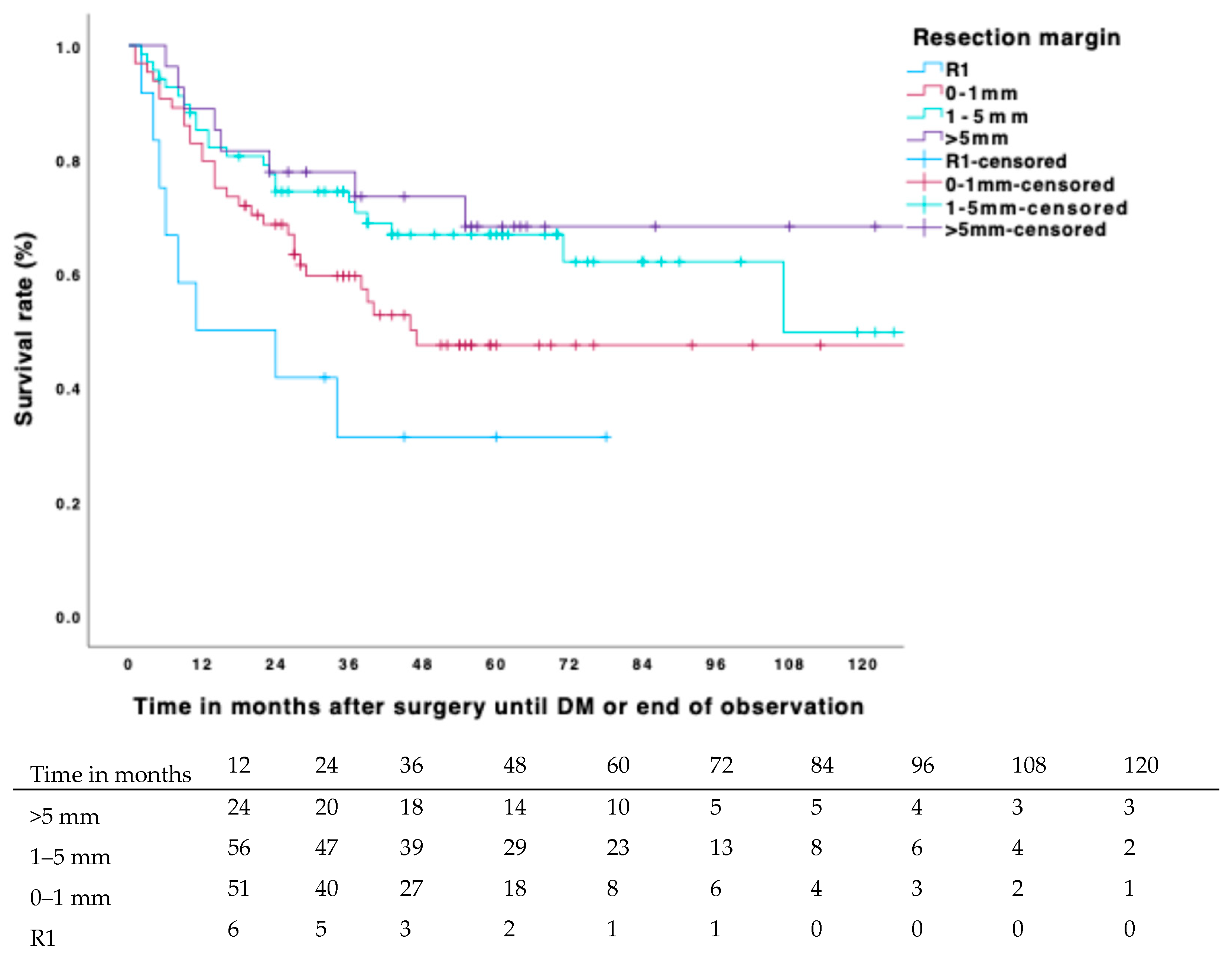 Biomedicines 13 01011 g003