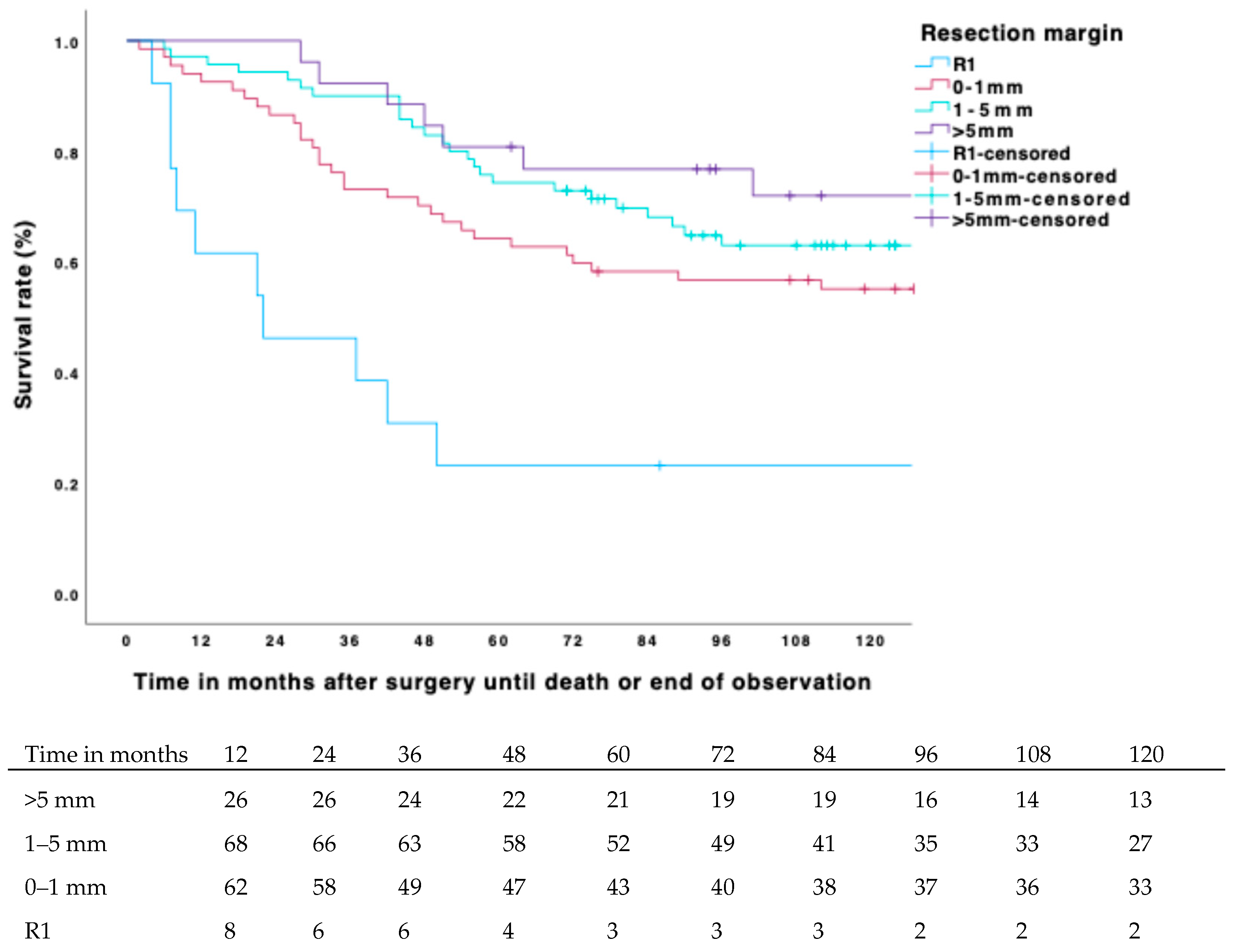 Biomedicines 13 01011 g004