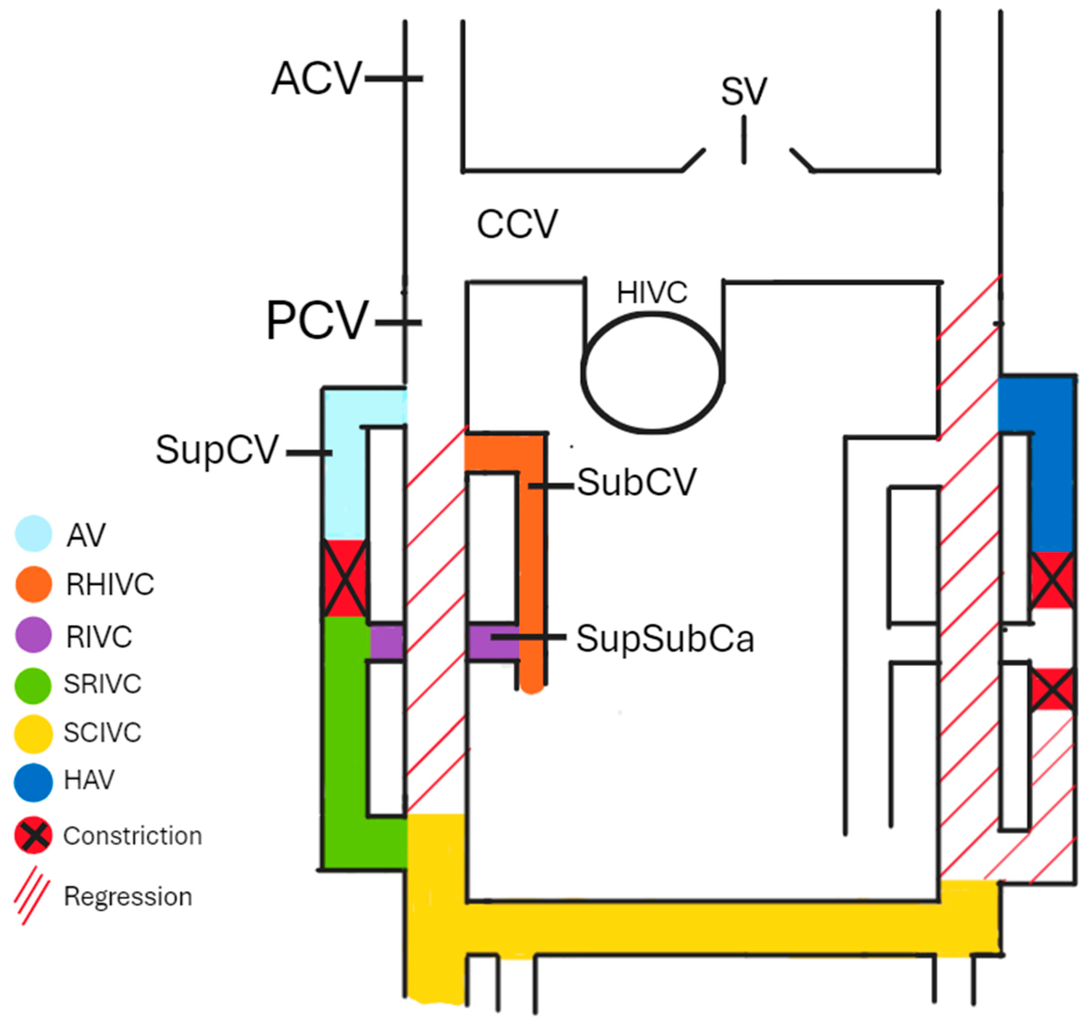 Biomedicines 13 01013 g001