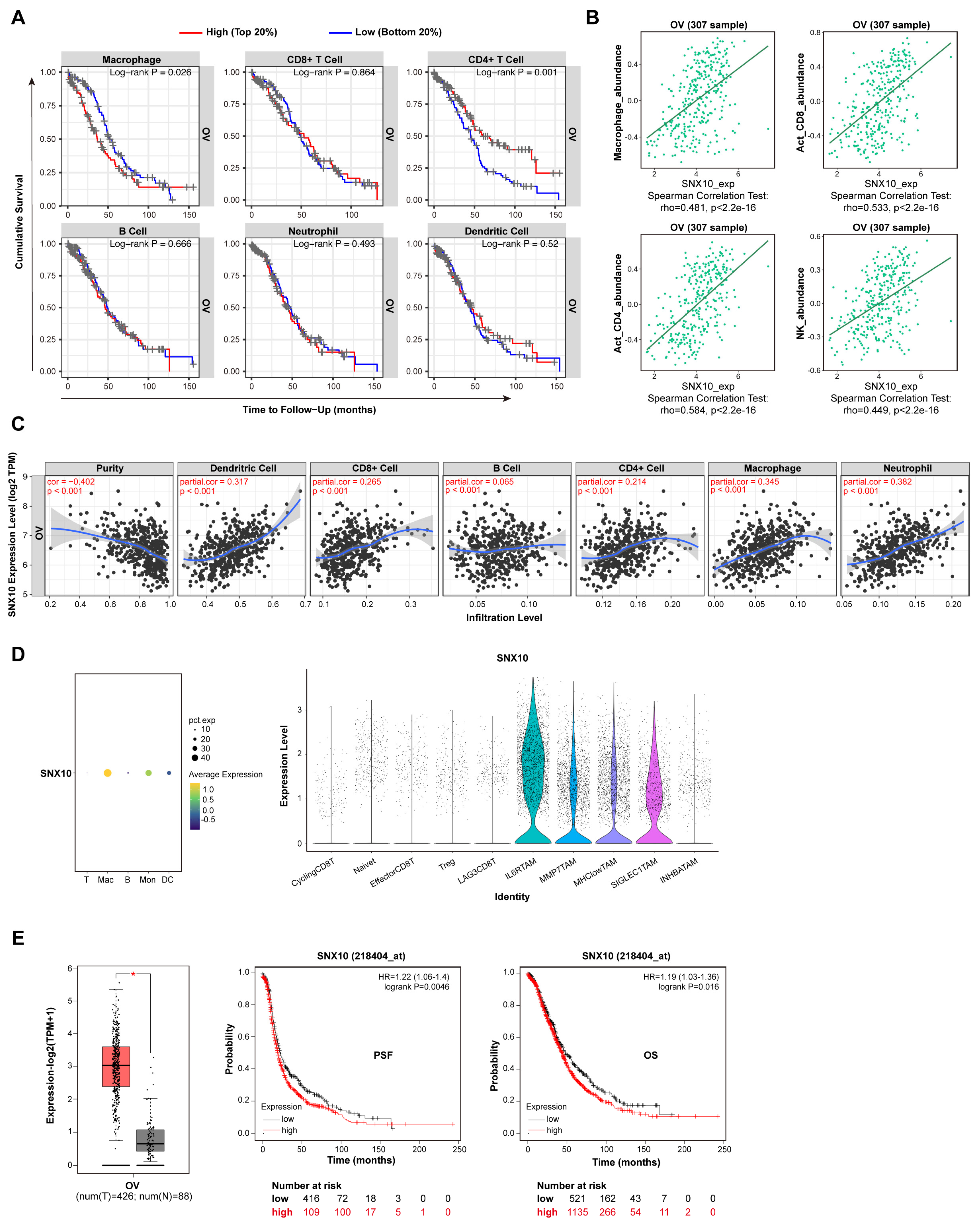 Biomedicines 13 01021 g001