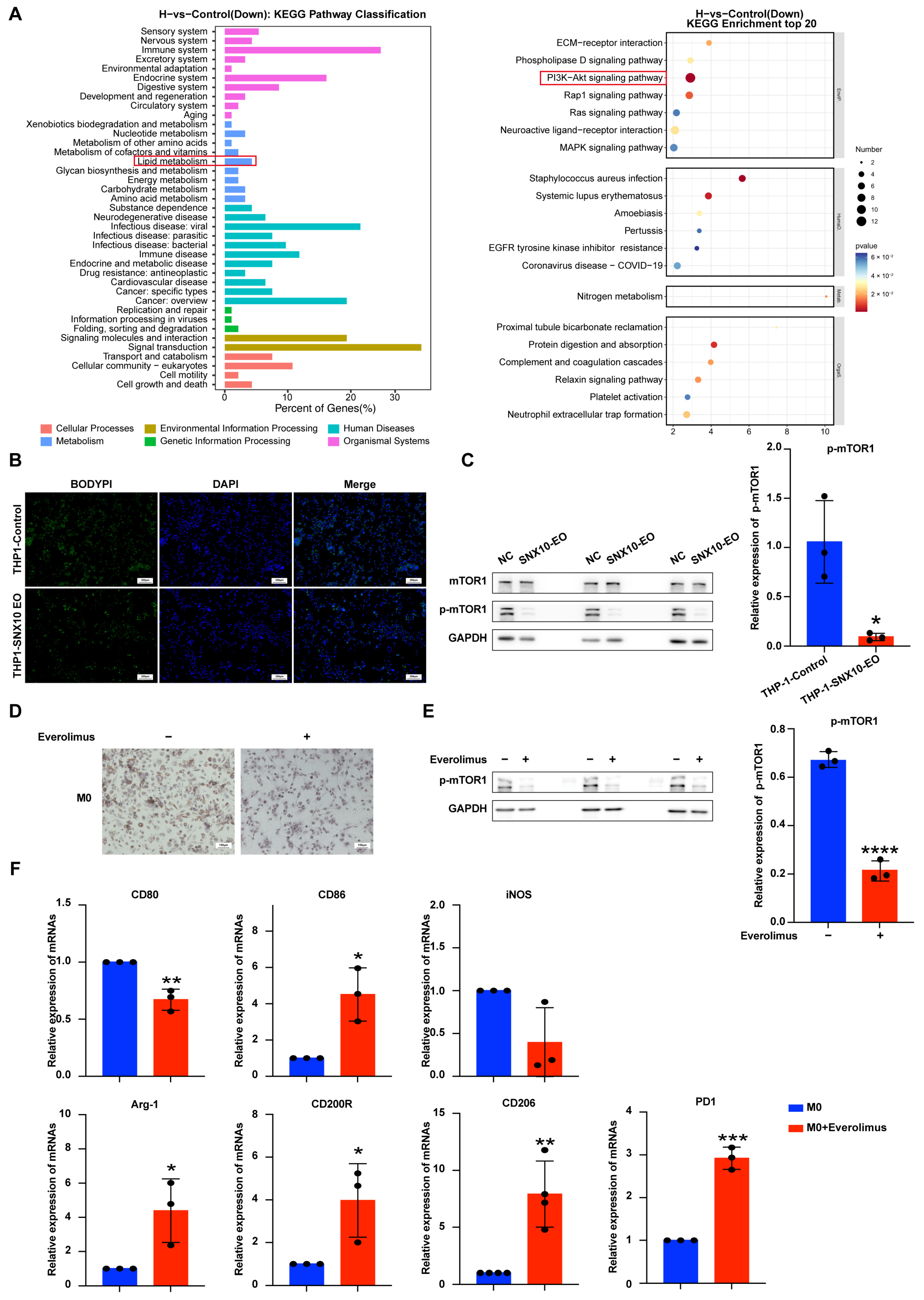 Biomedicines 13 01021 g004