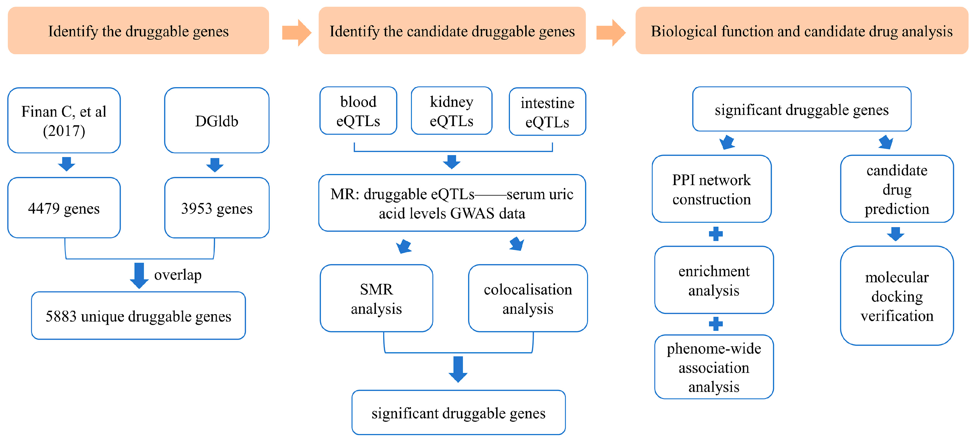 Biomedicines 13 01022 g001
