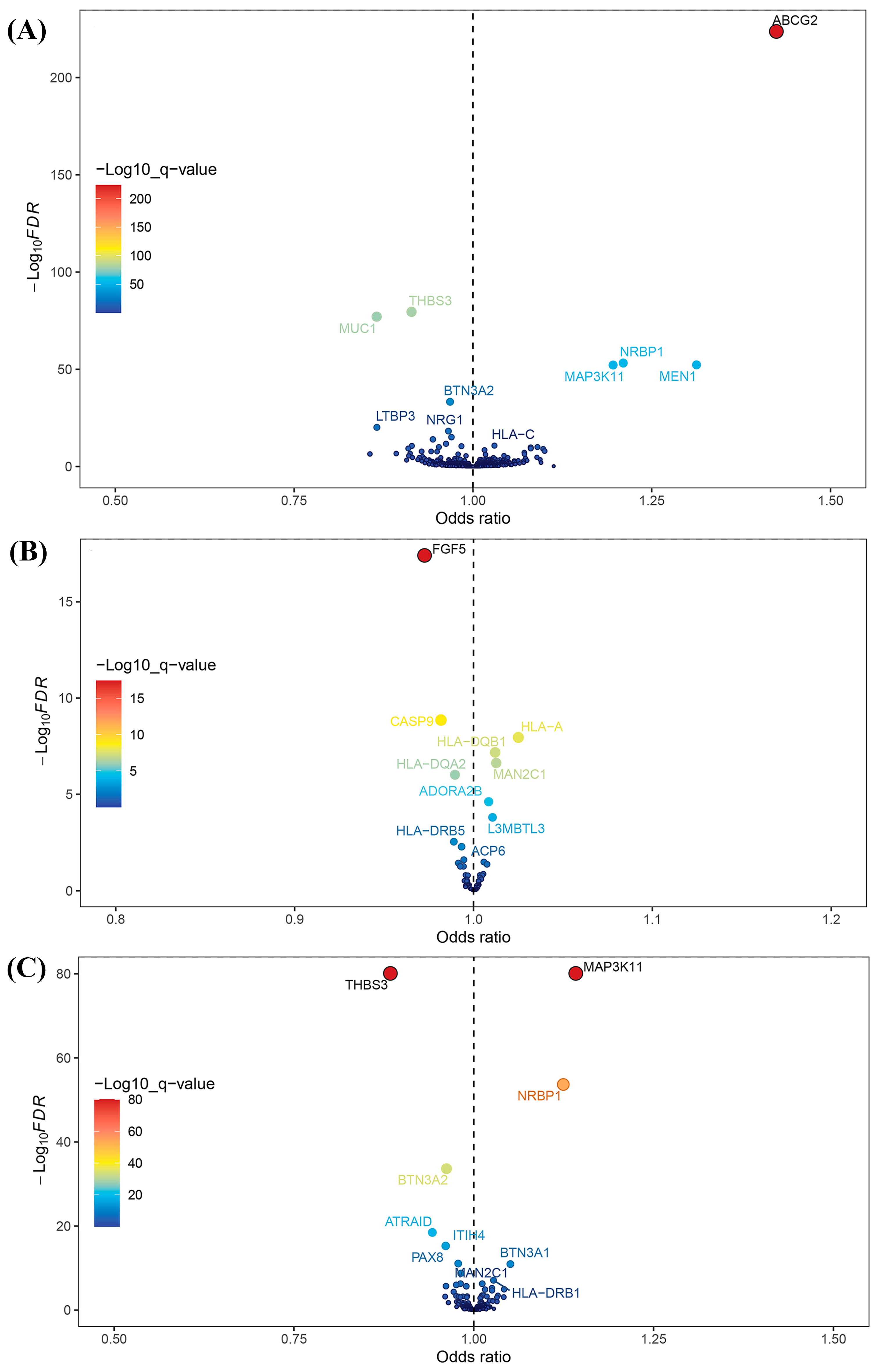 Biomedicines 13 01022 g002