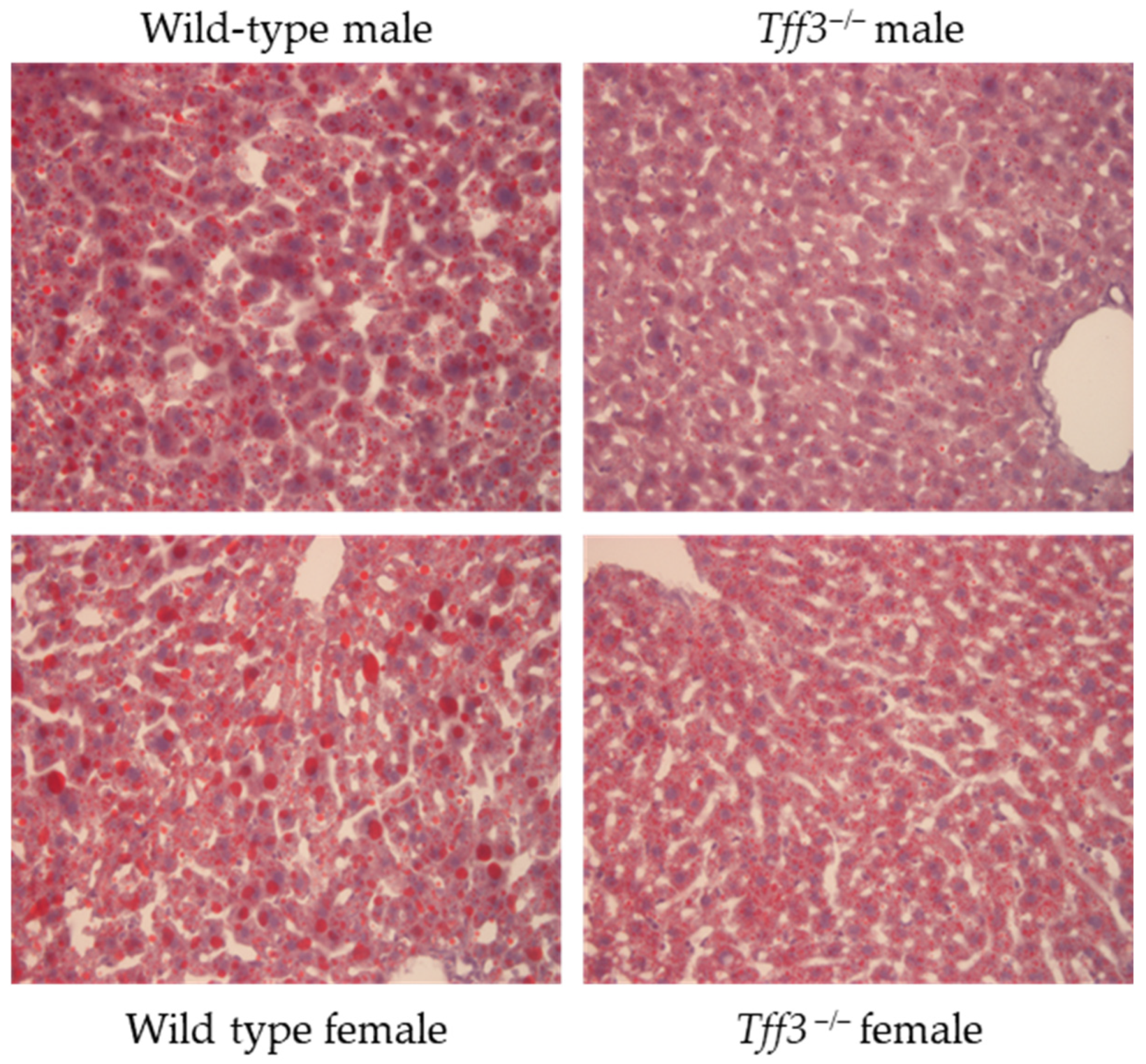 Biomedicines 13 01024 g002