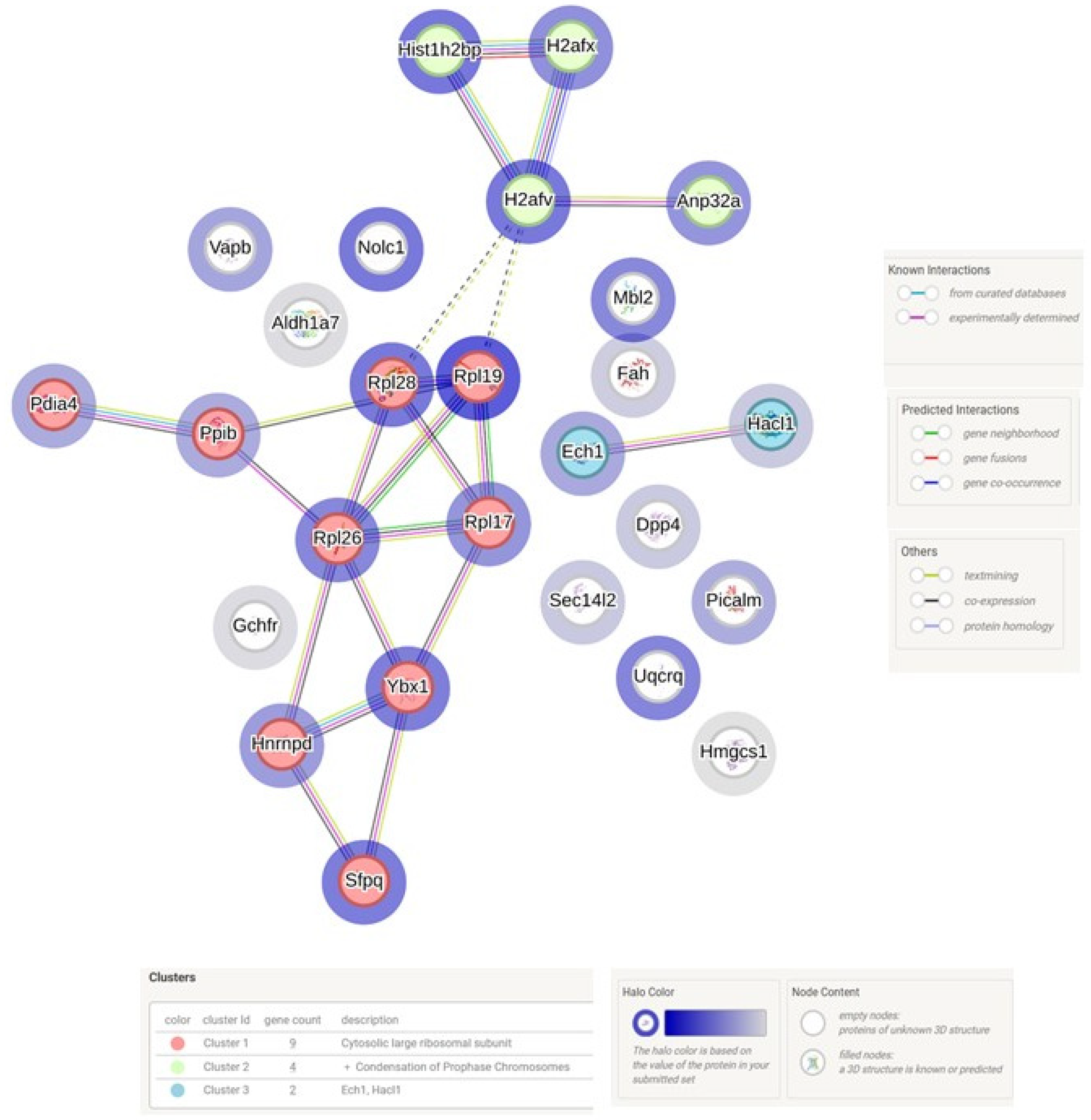 Biomedicines 13 01024 g004