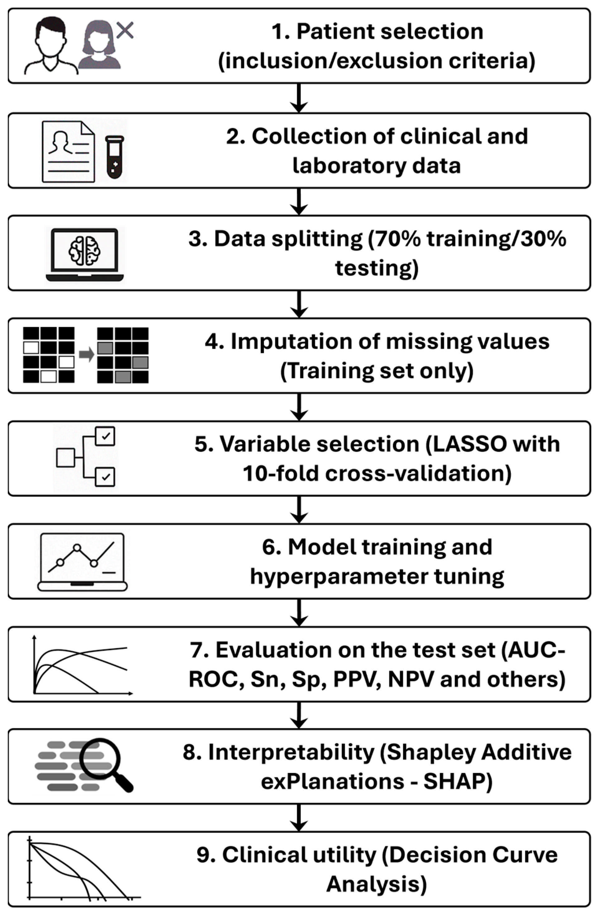 Biomedicines 13 01025 g001 Biomedicines 13 01025 g001