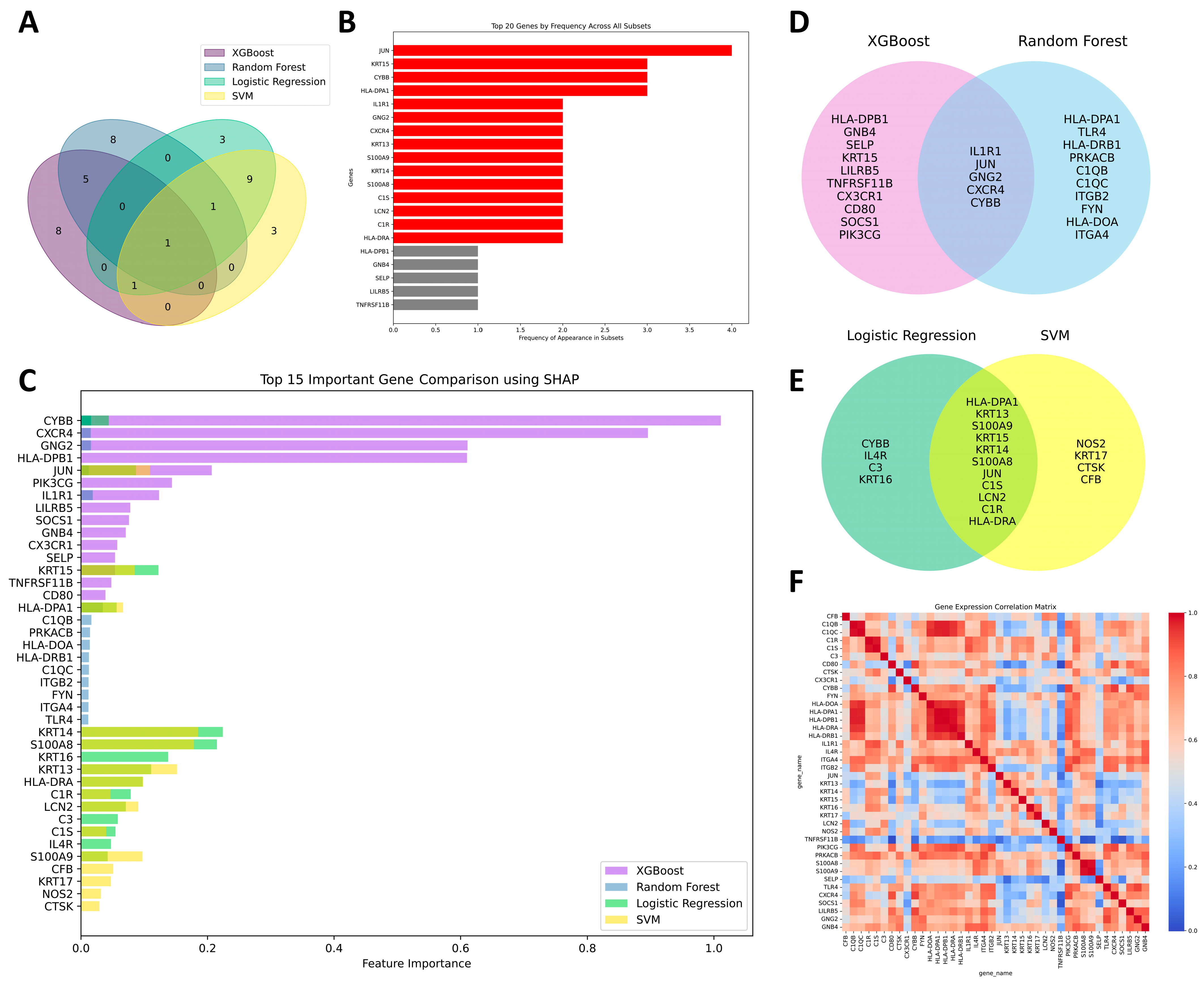 Biomedicines 13 01032 g005