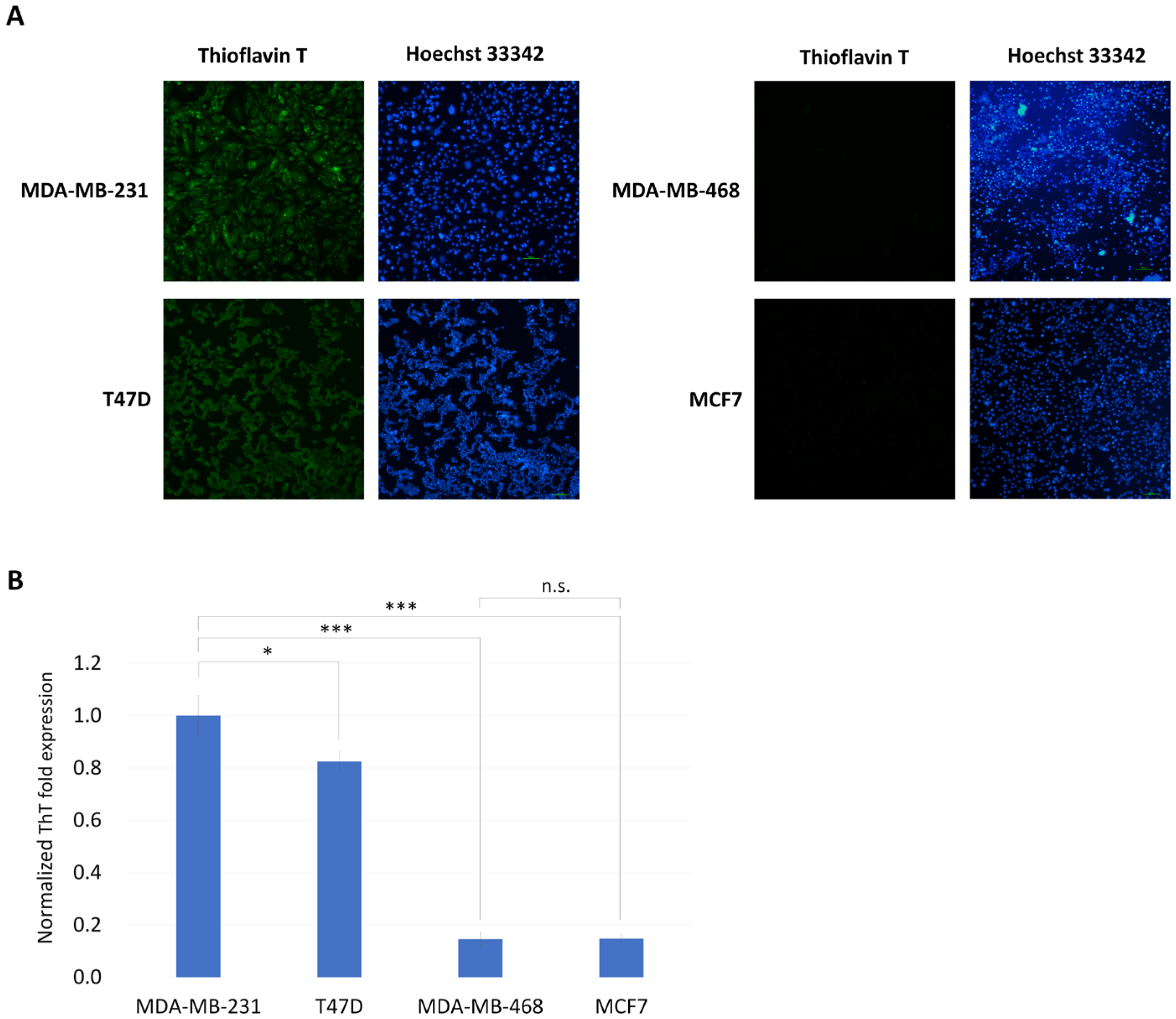 Biomedicines 13 01034 g002