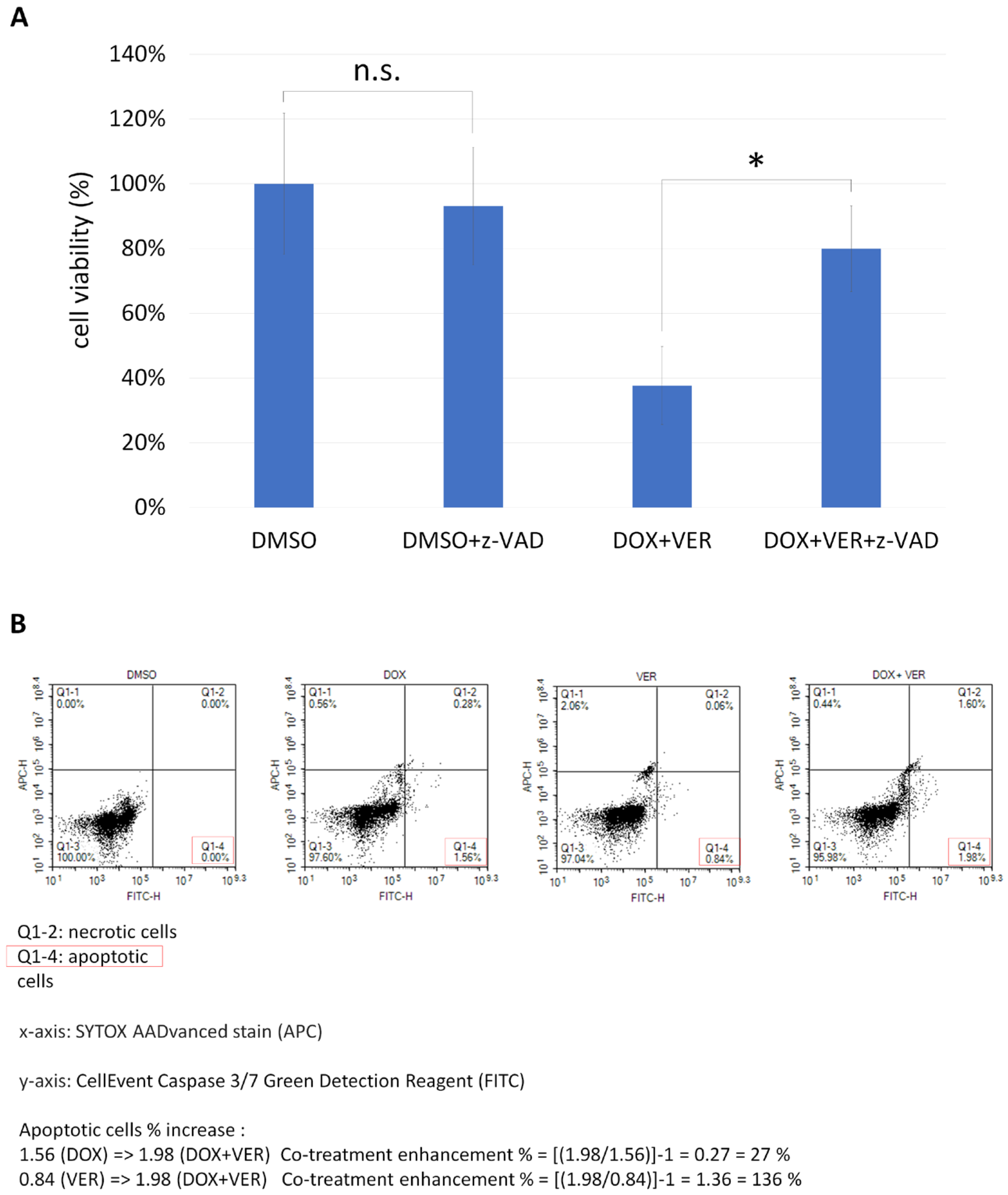 Biomedicines 13 01034 g008