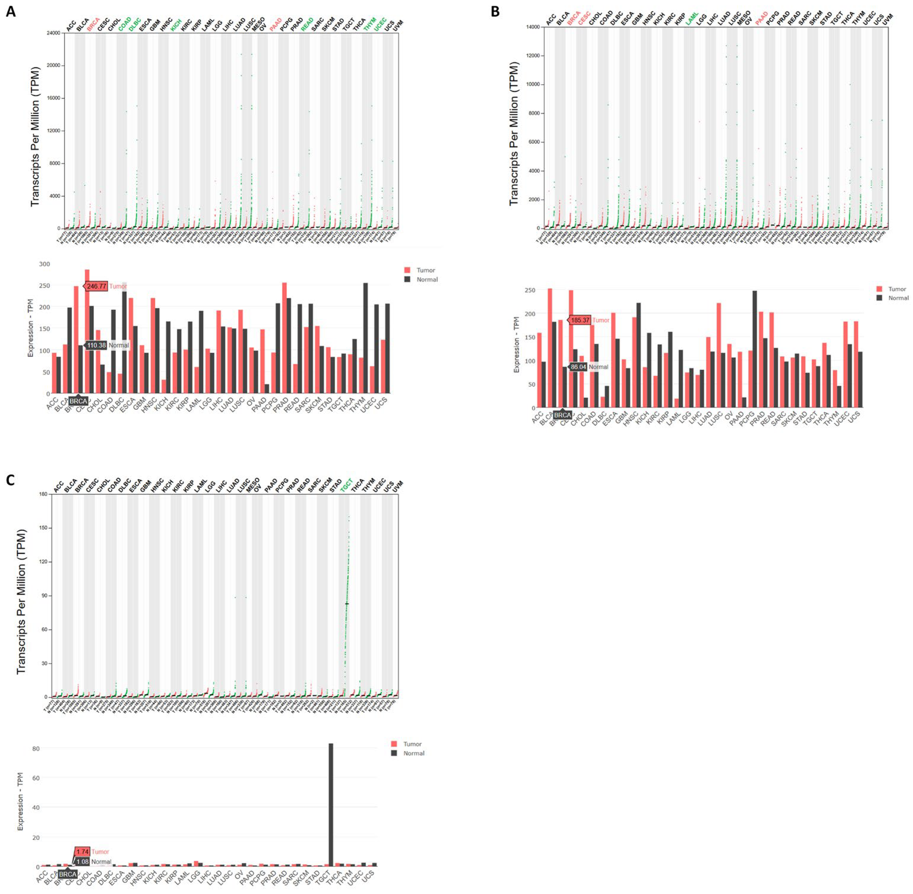 Biomedicines 13 01034 g009
