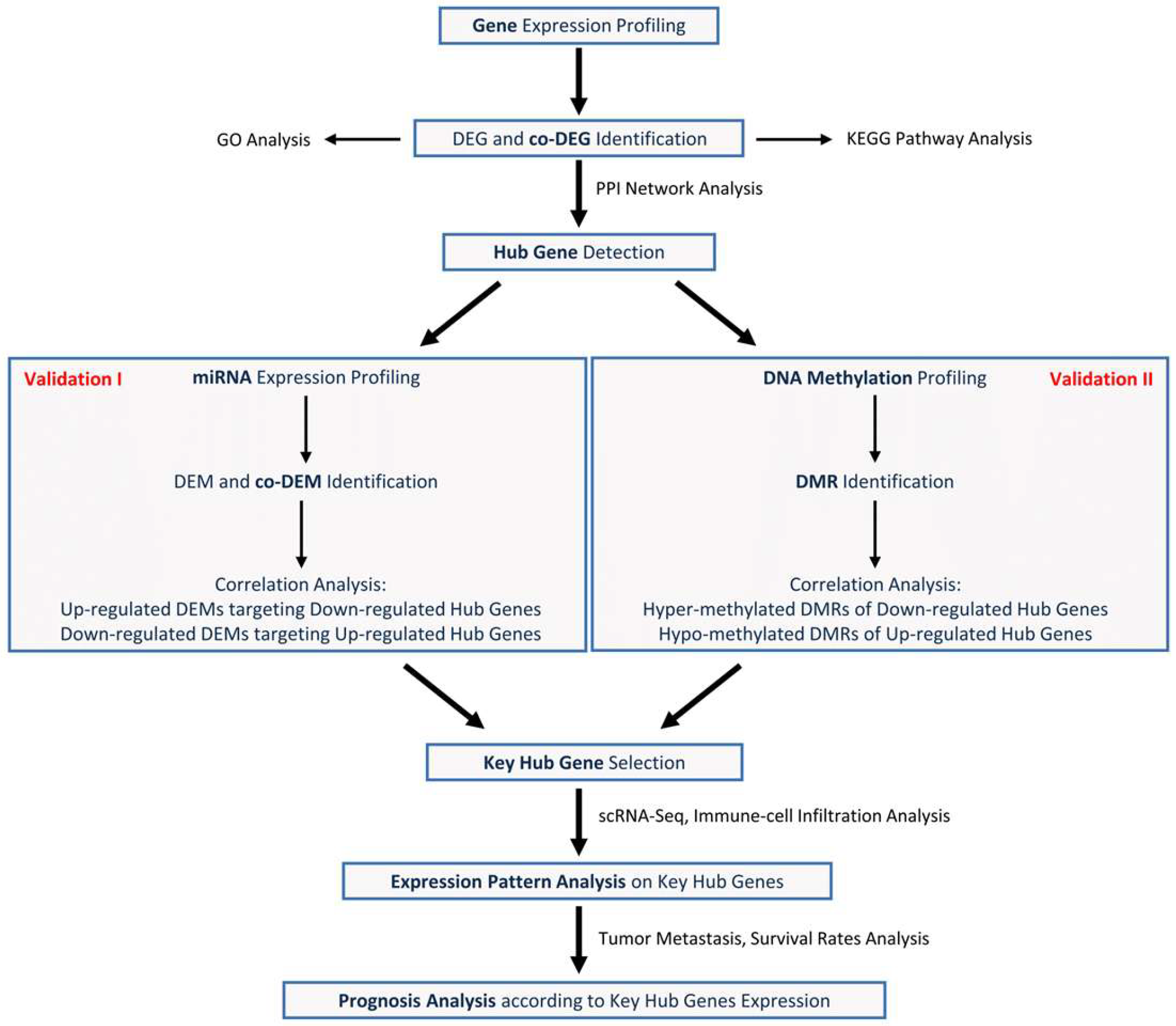 Biomedicines 13 01035 g001 Biomedicines 13 01035 g001
