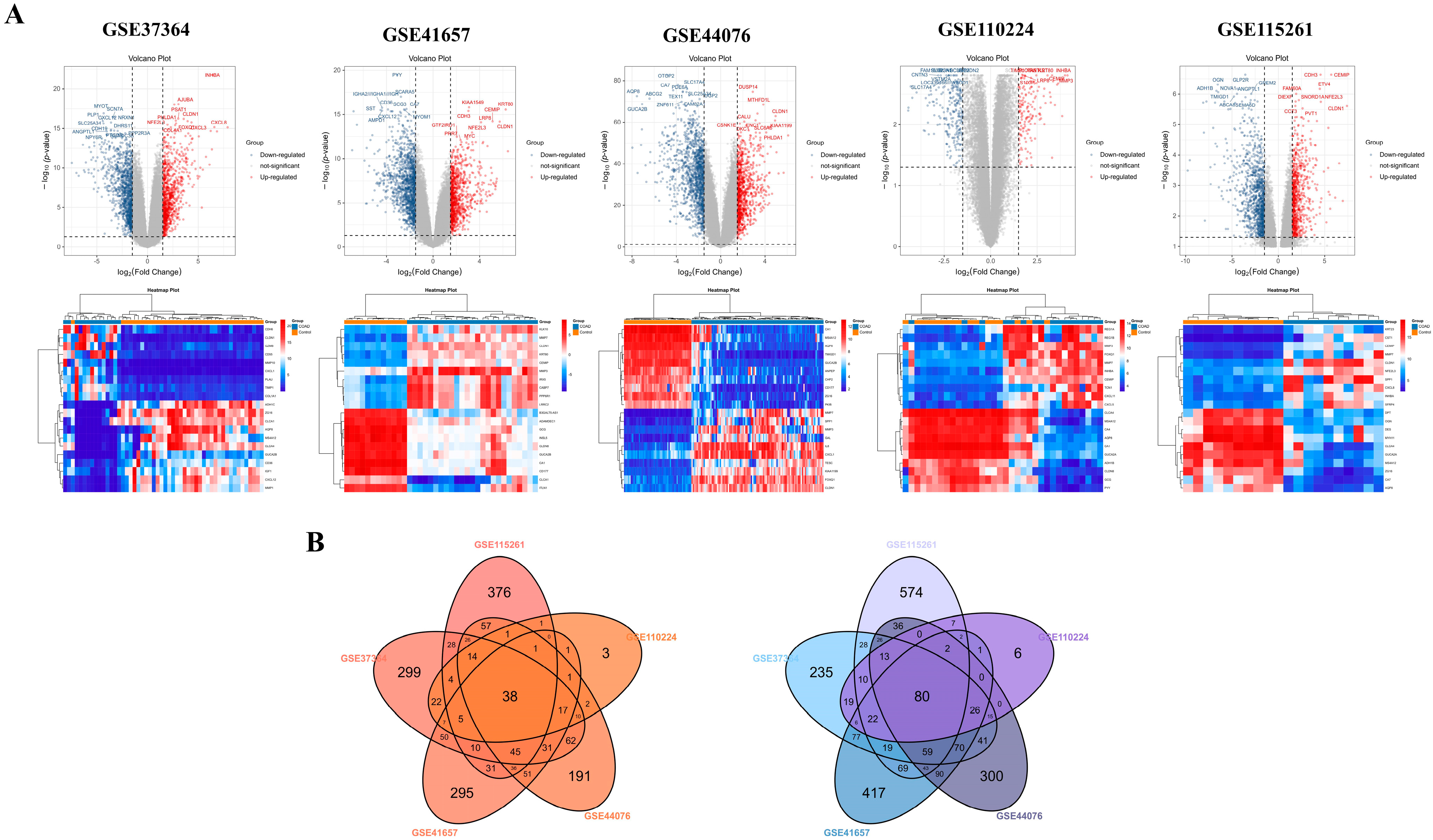Biomedicines 13 01035 g002 Biomedicines 13 01035 g002