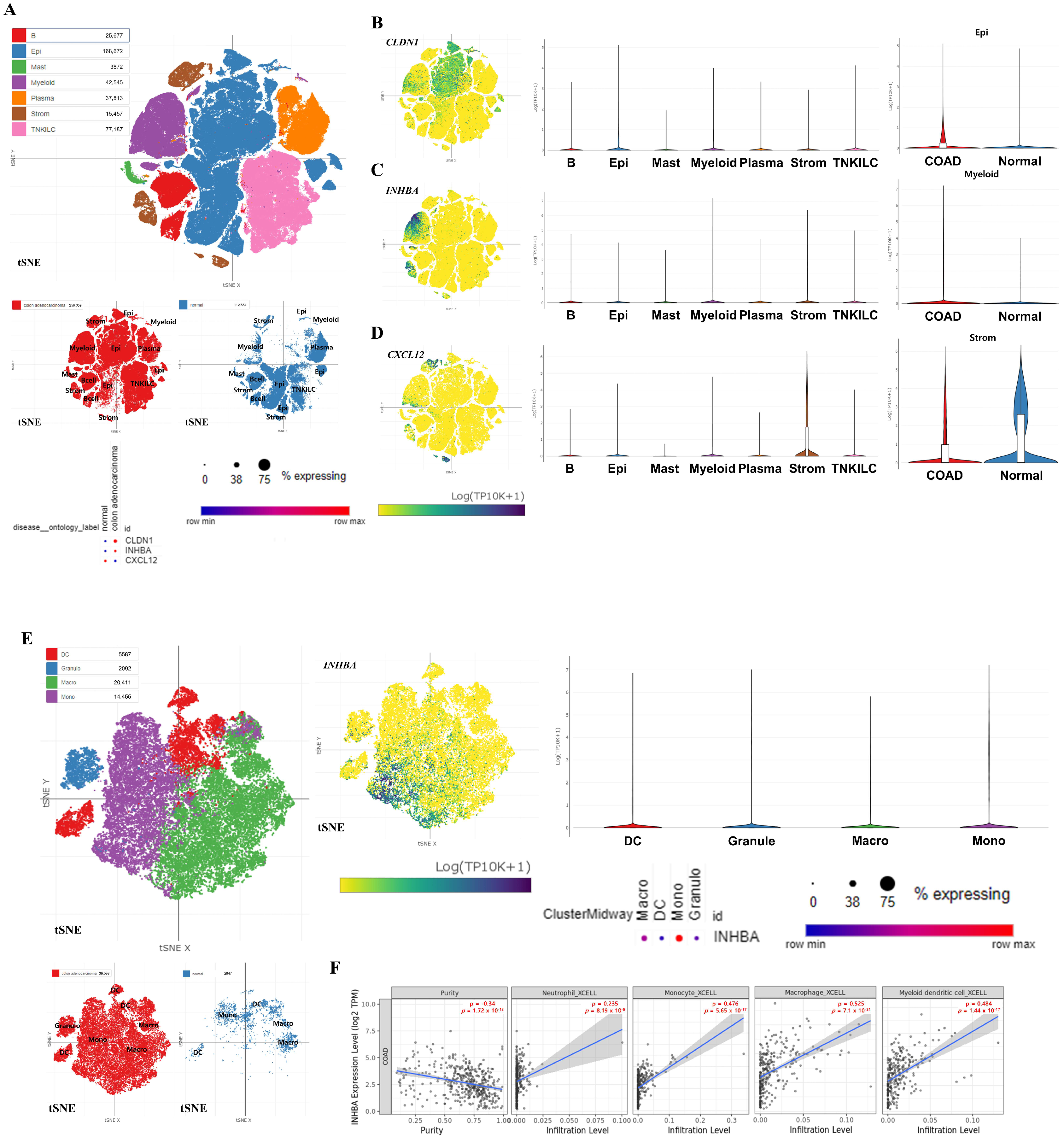 Biomedicines 13 01035 g007 Biomedicines 13 01035 g007