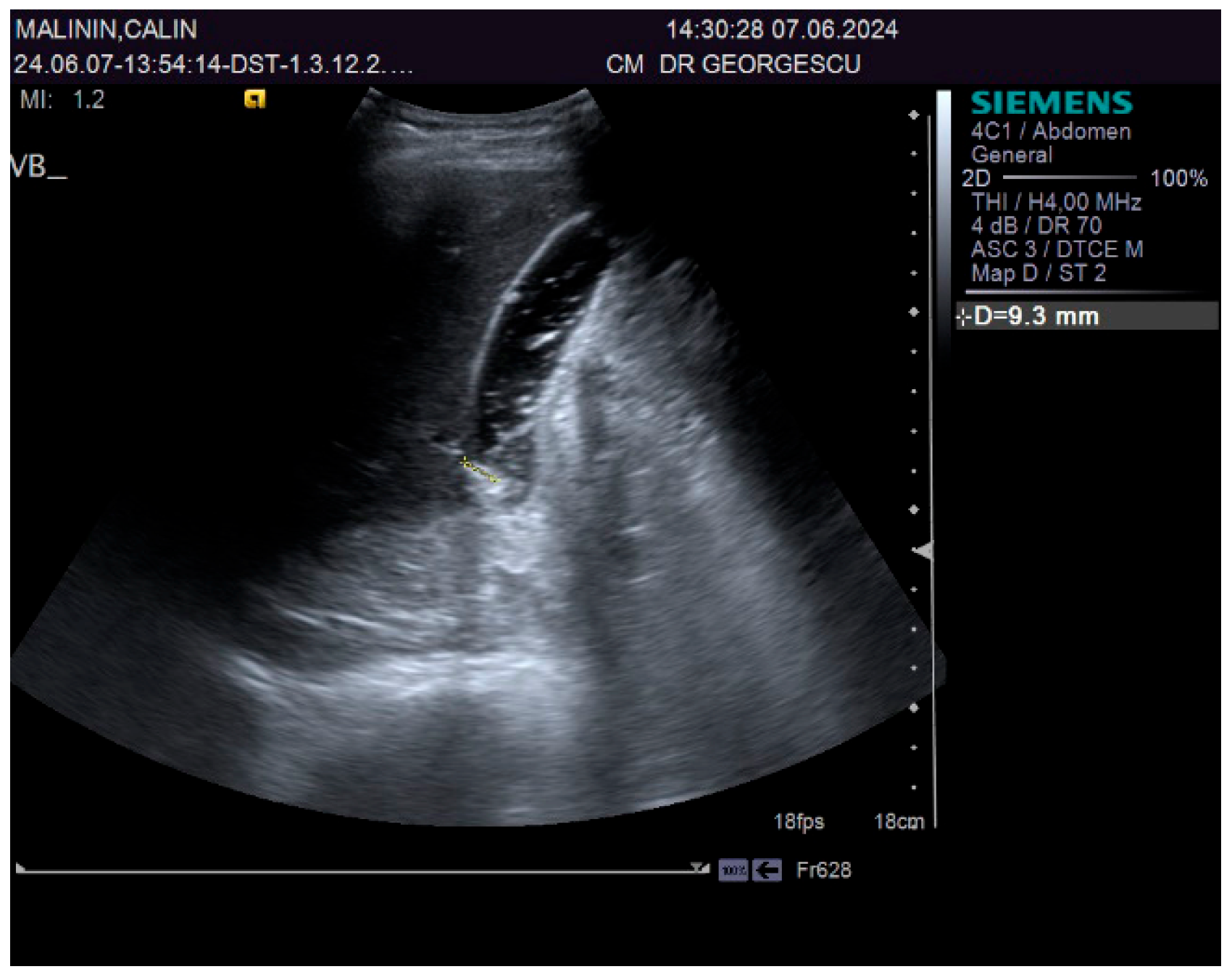 Biomedicines 13 01036 g001