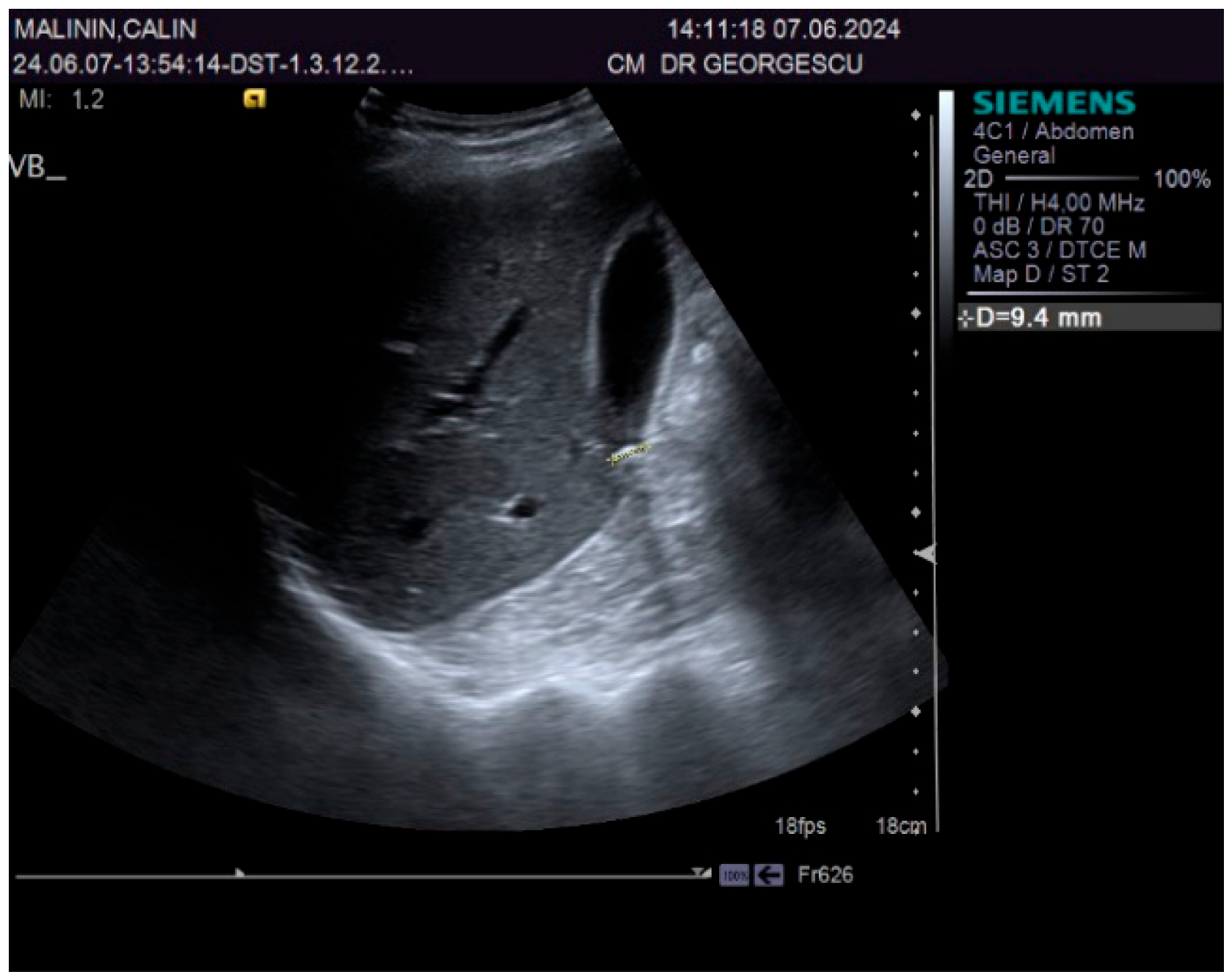 Biomedicines 13 01036 g002