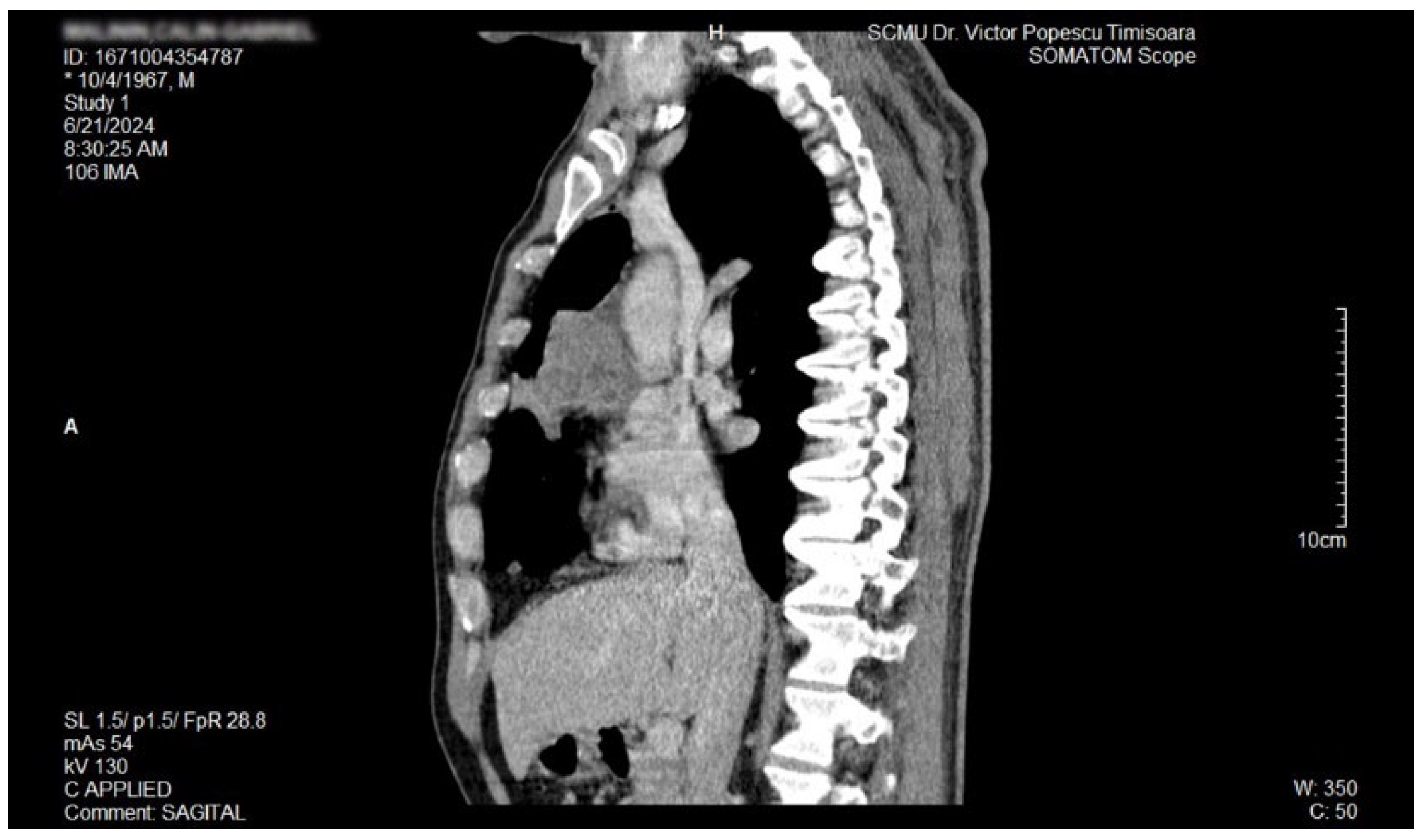Biomedicines 13 01036 g005