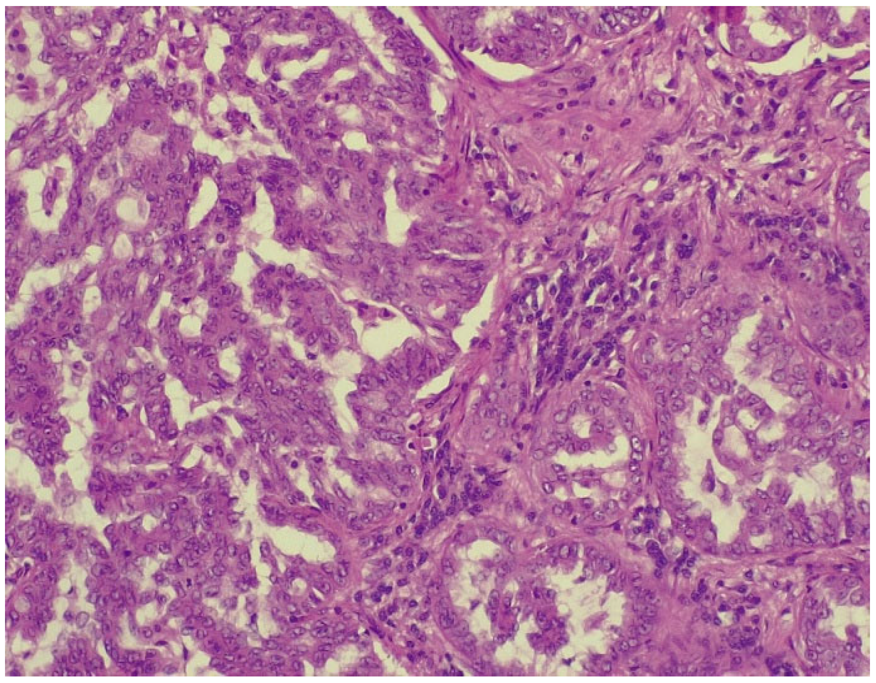 Biomedicines 13 01036 g007