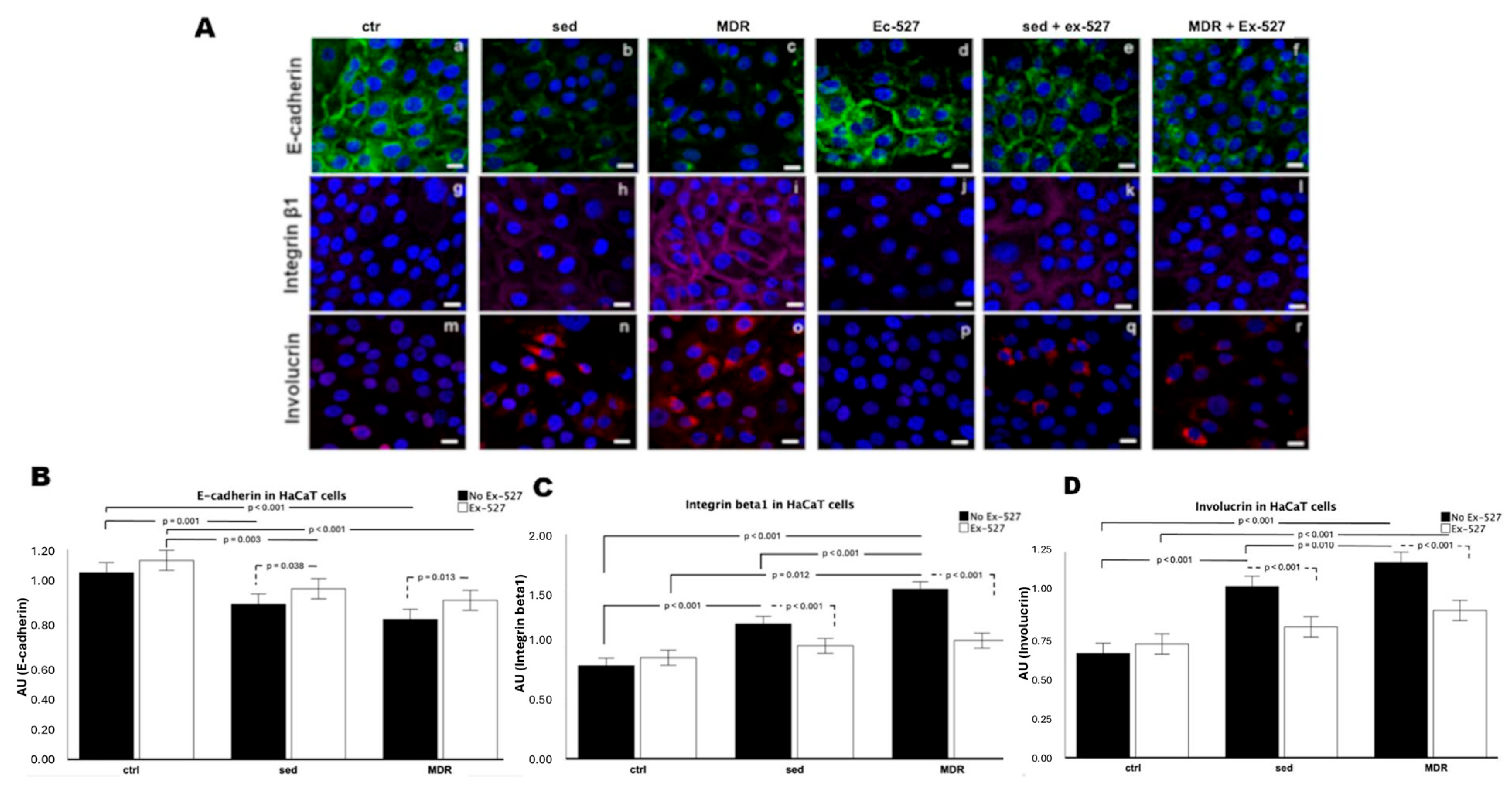 Biomedicines 13 01041 g002