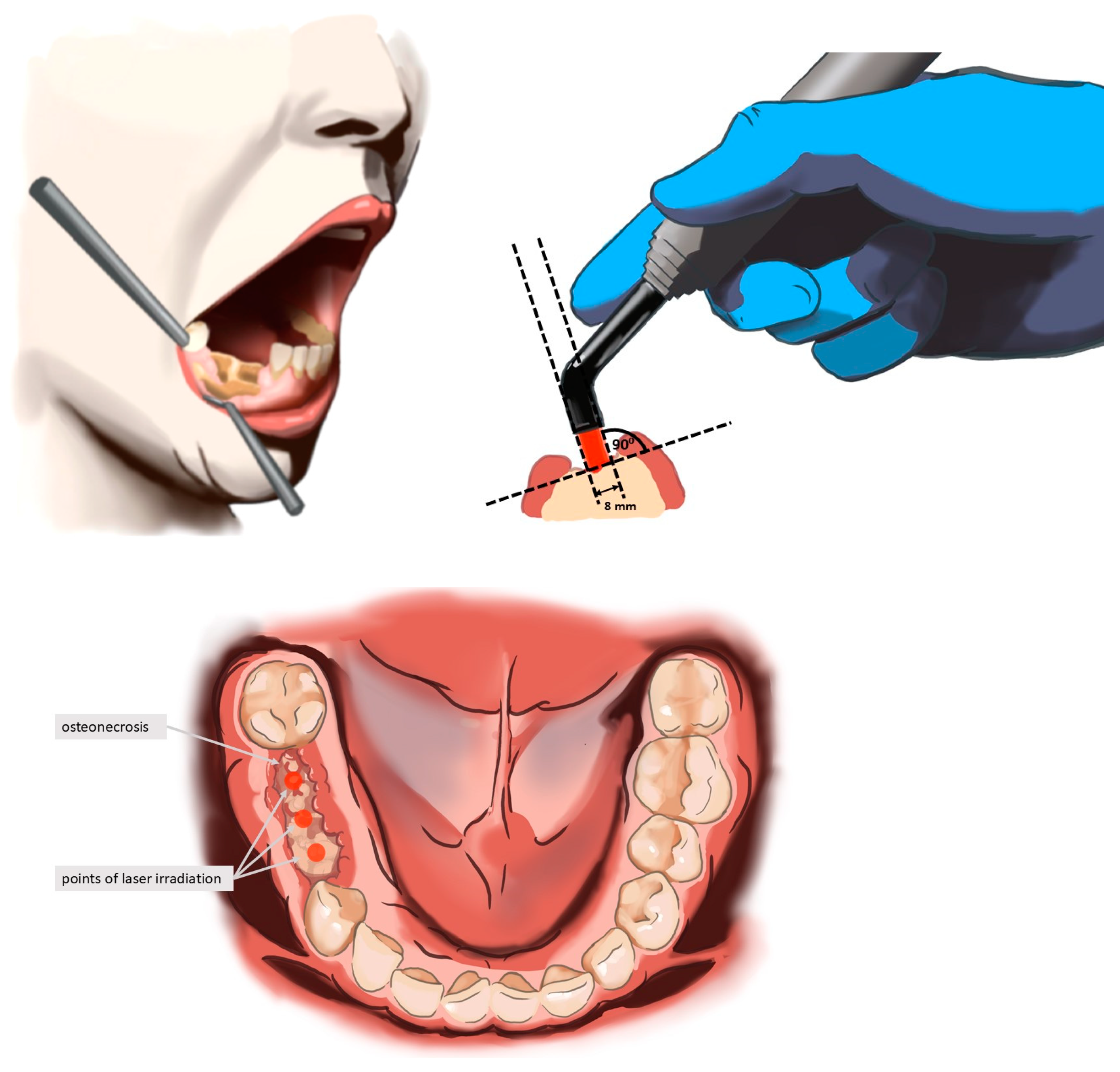 Biomedicines 13 01042 g002