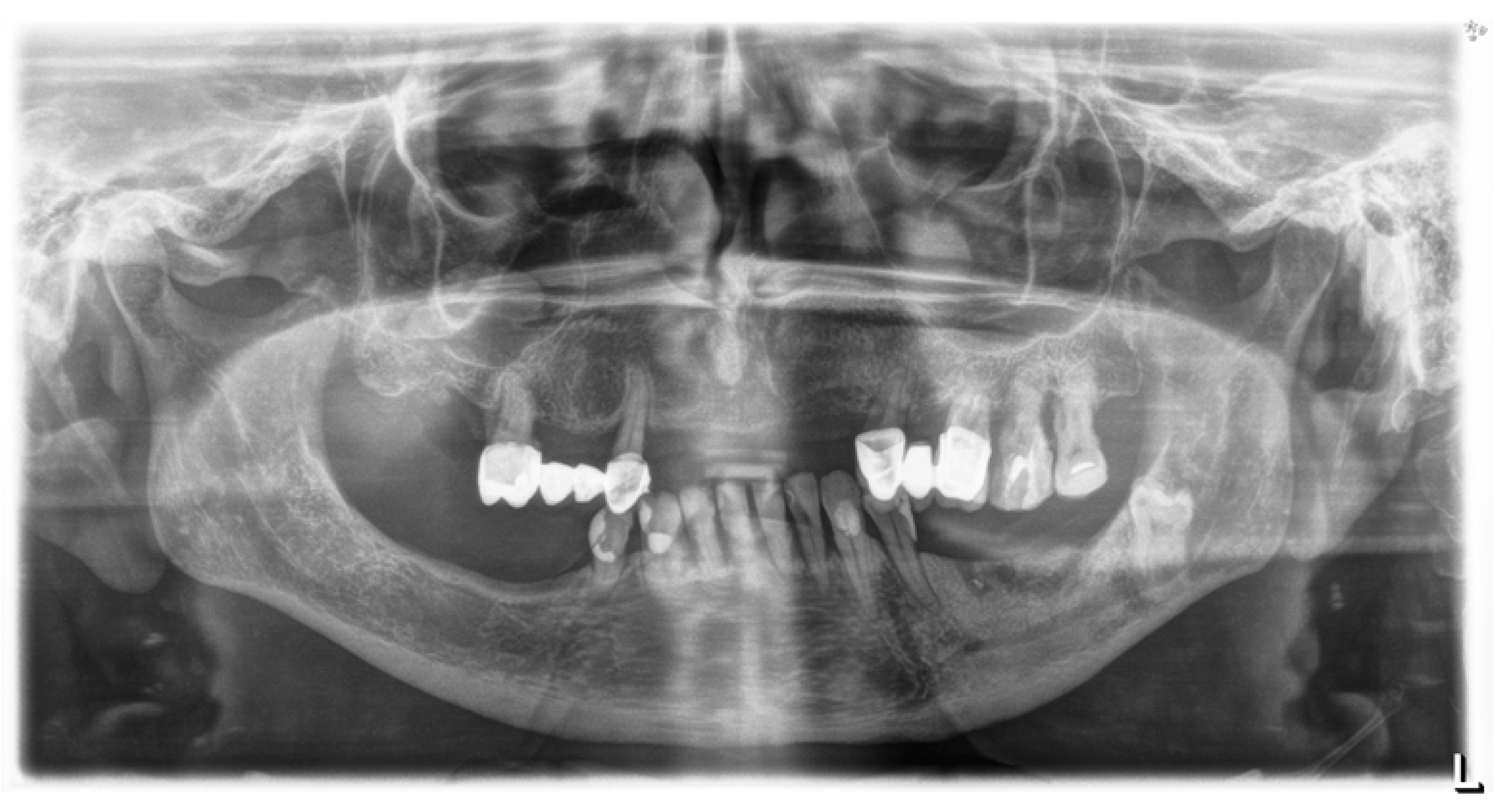 Biomedicines 13 01042 g005
