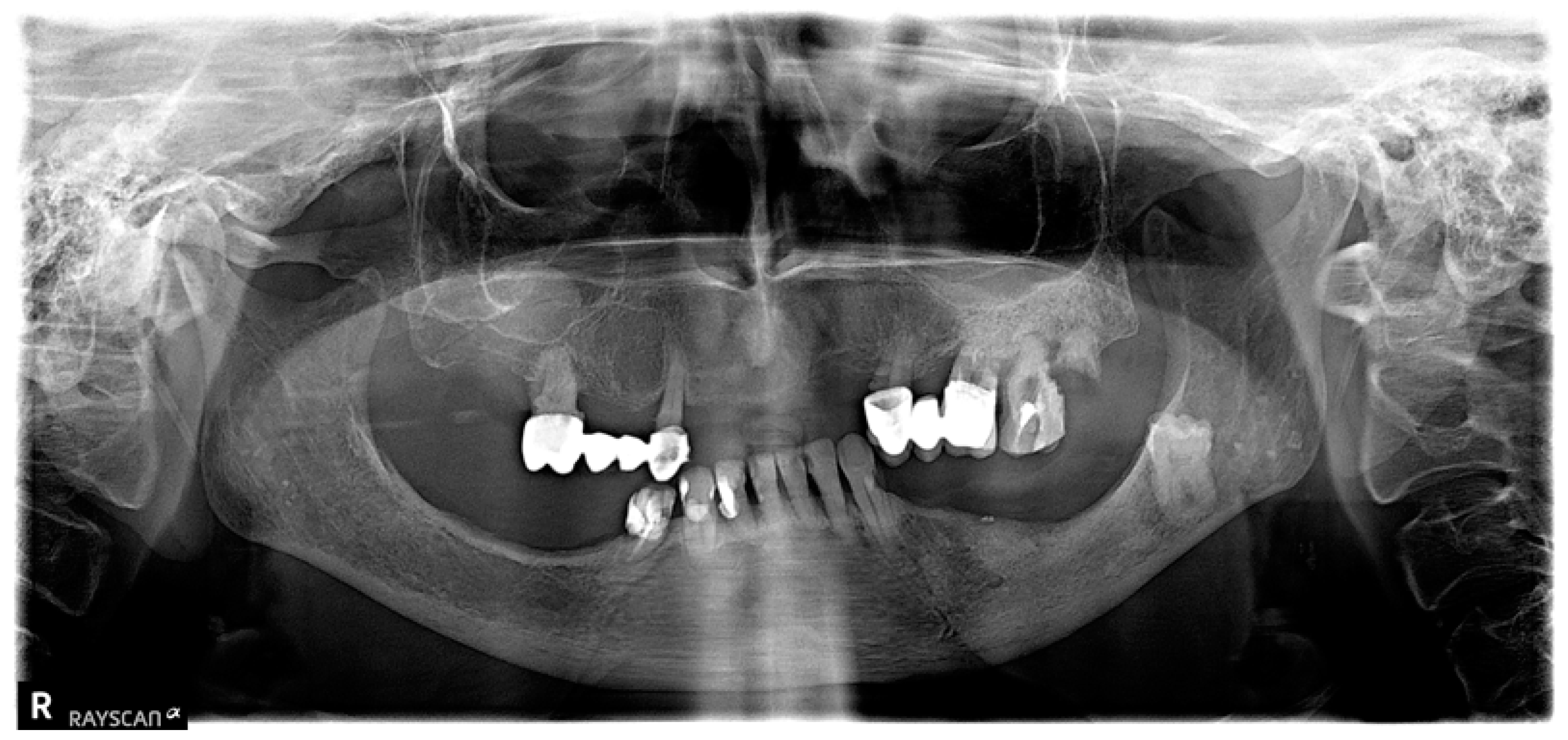 Biomedicines 13 01042 g006