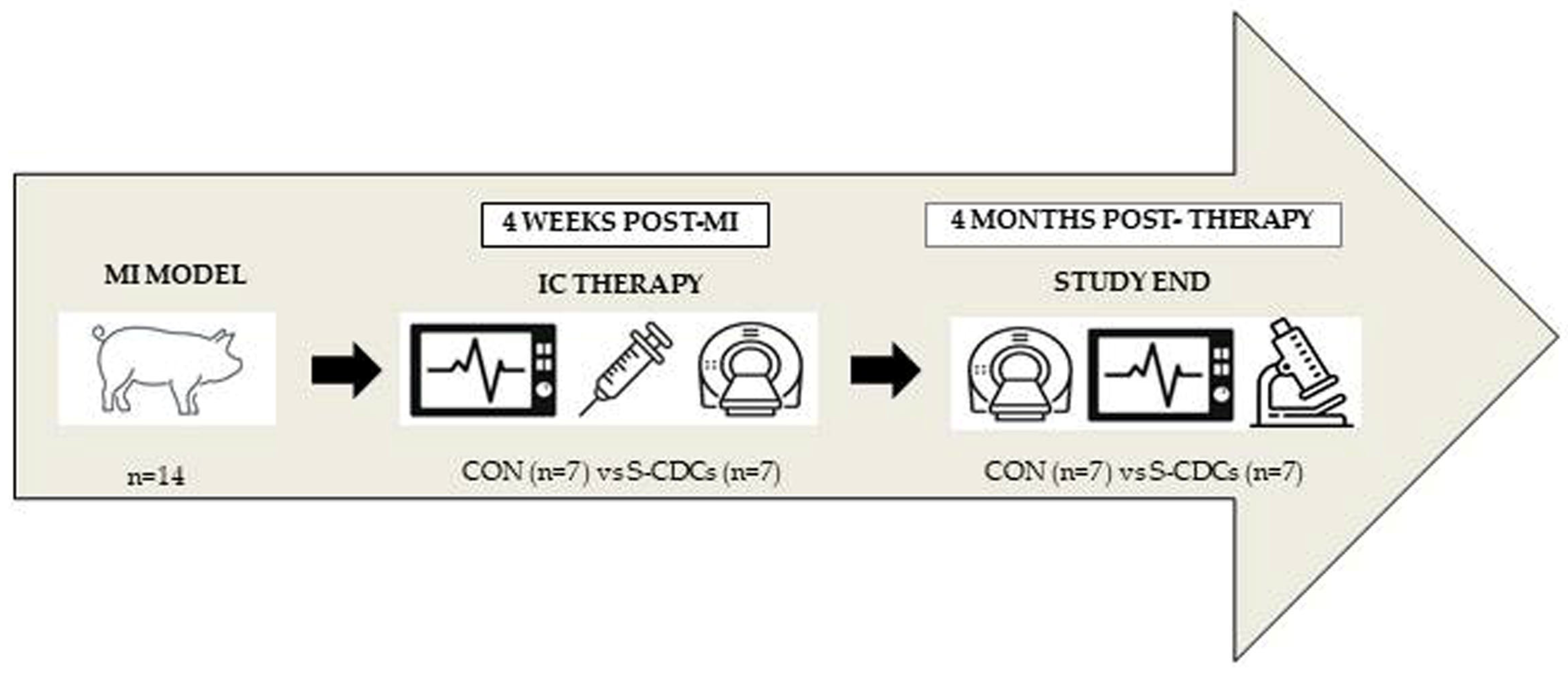 Biomedicines 13 01043 g001