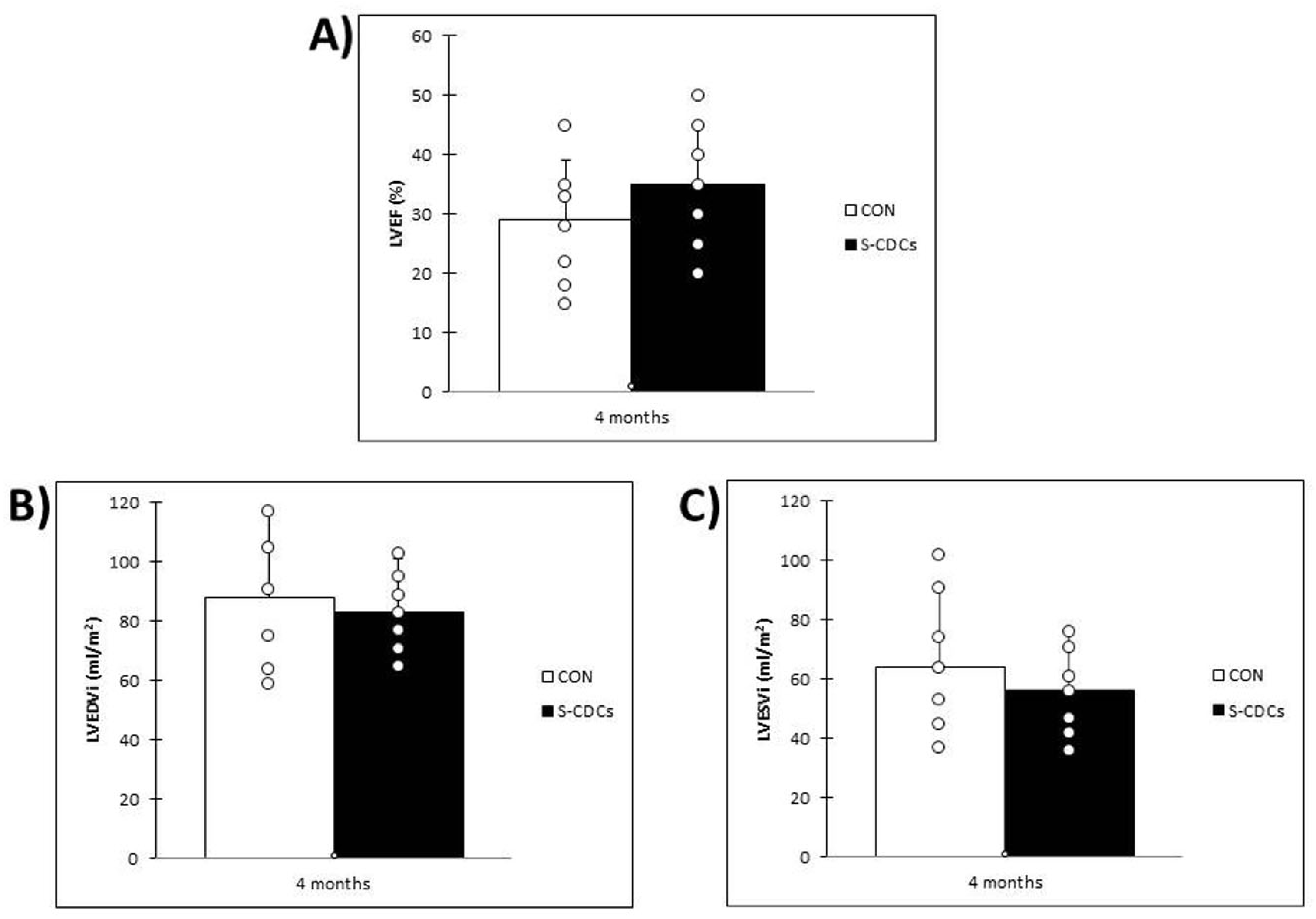 Biomedicines 13 01043 g003