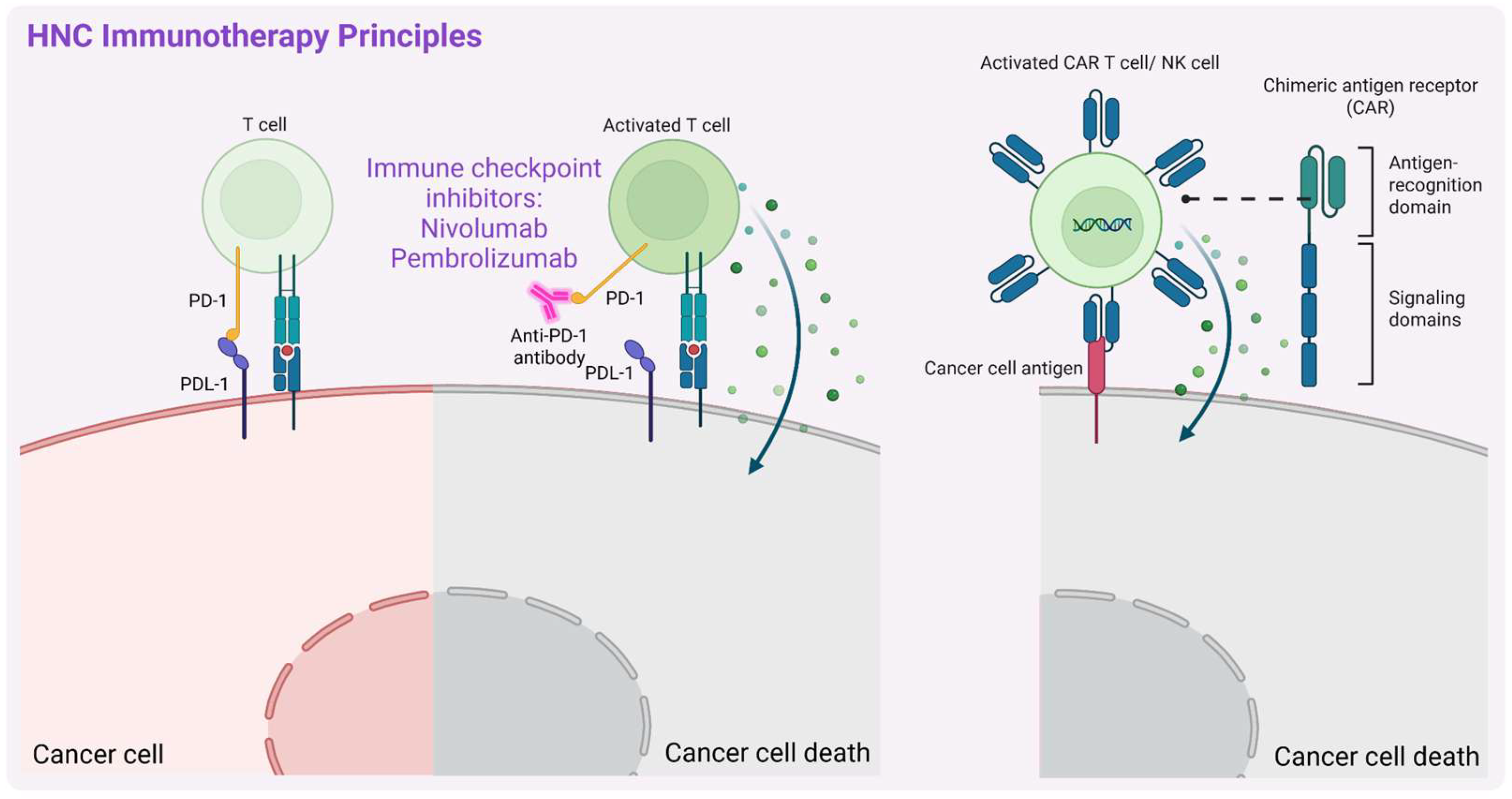Biomedicines 13 01046 g004