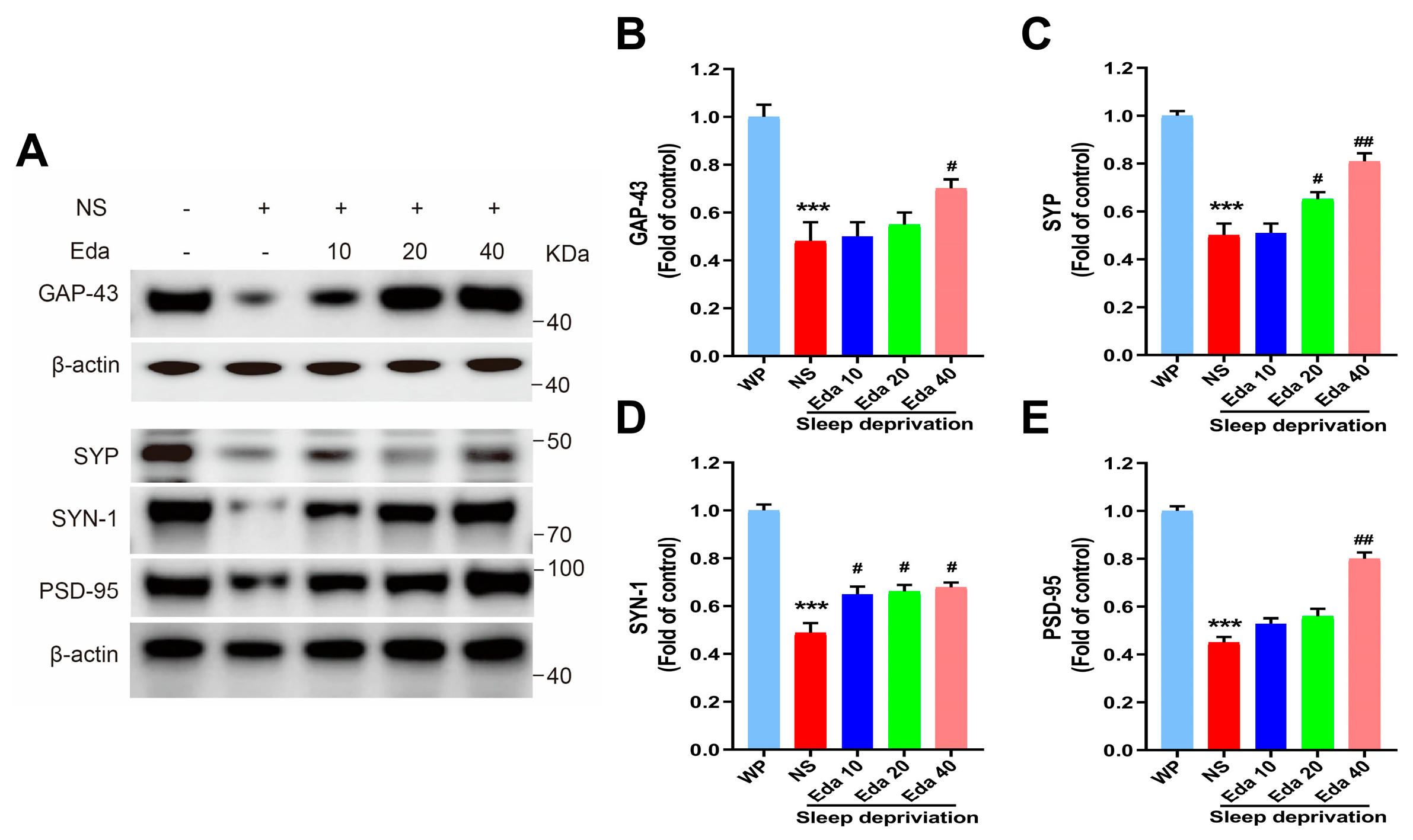 Biomedicines 13 01047 g007