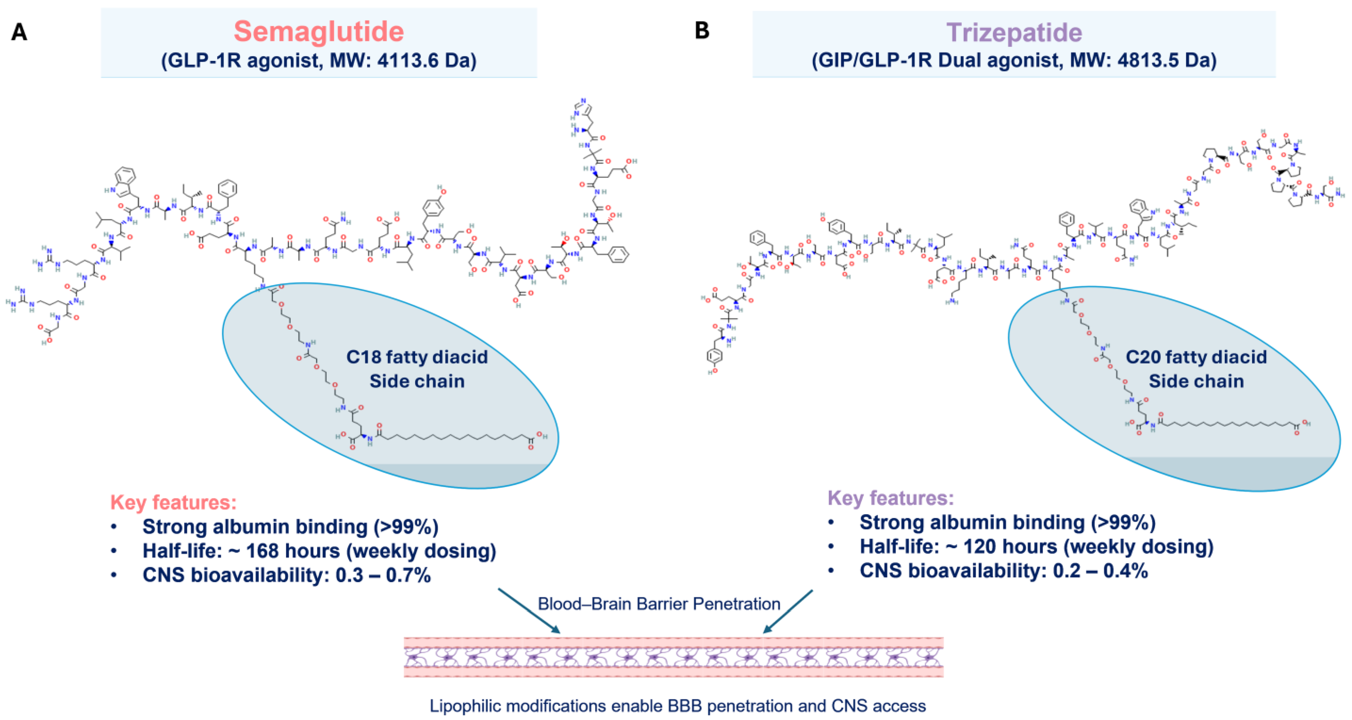 Biomedicines 13 01049 g001