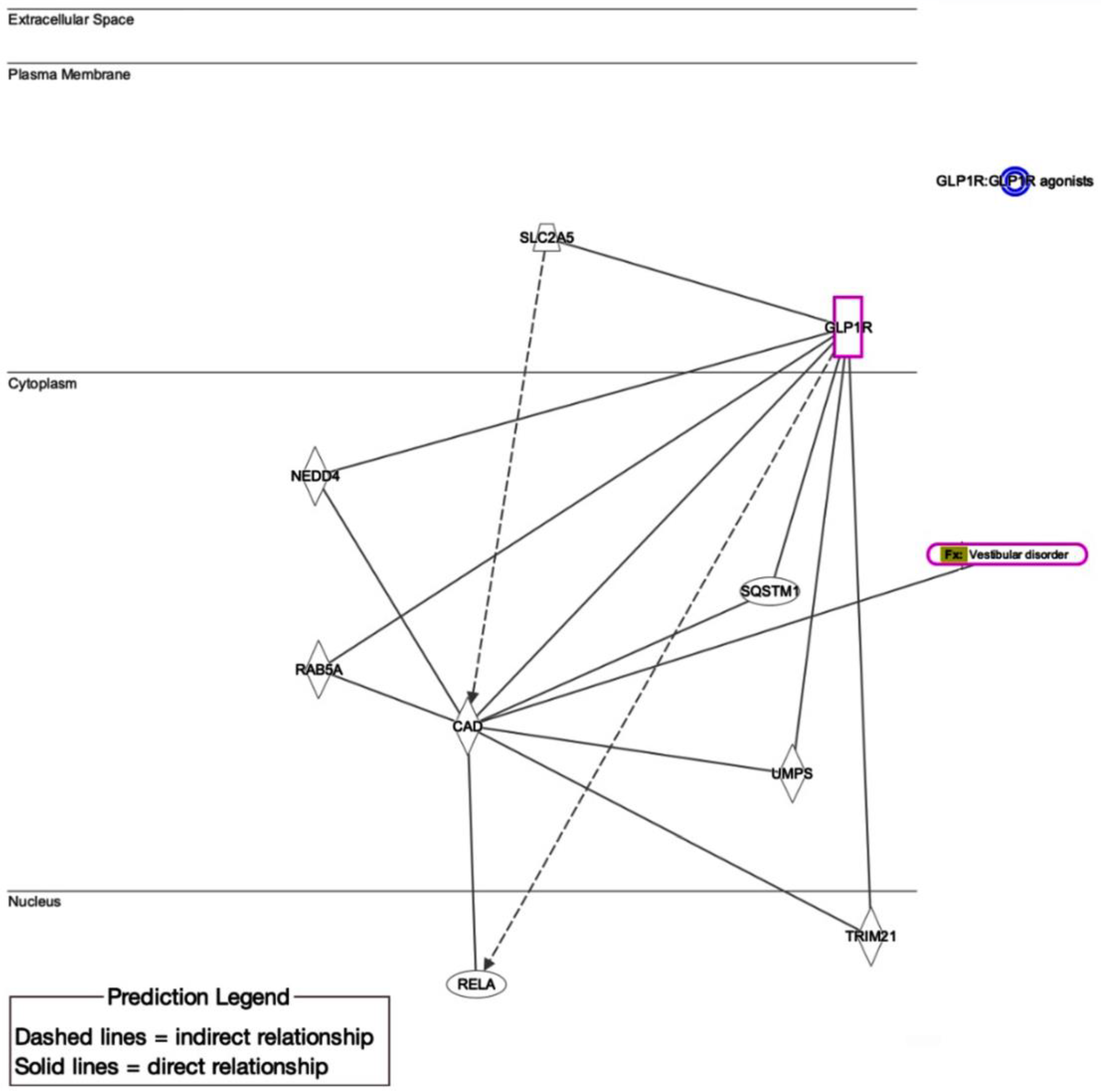Biomedicines 13 01049 g006
