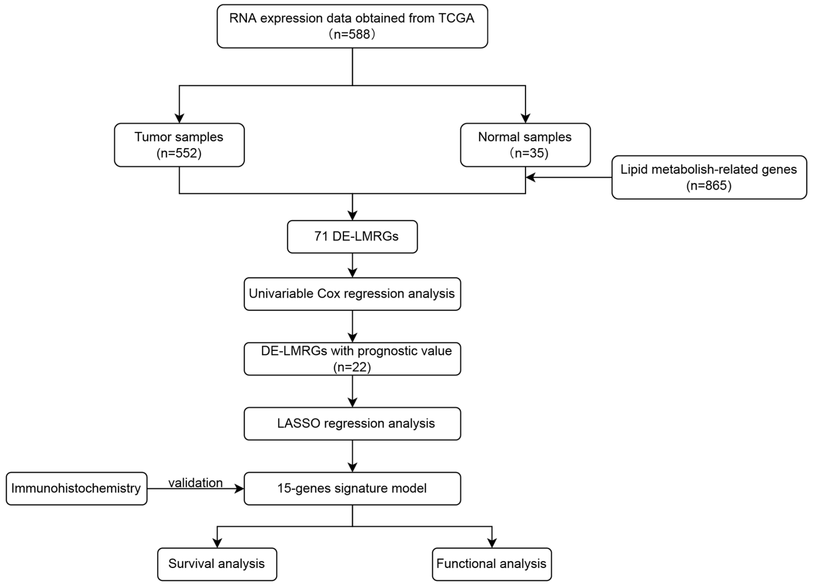 Biomedicines 13 01050 g001